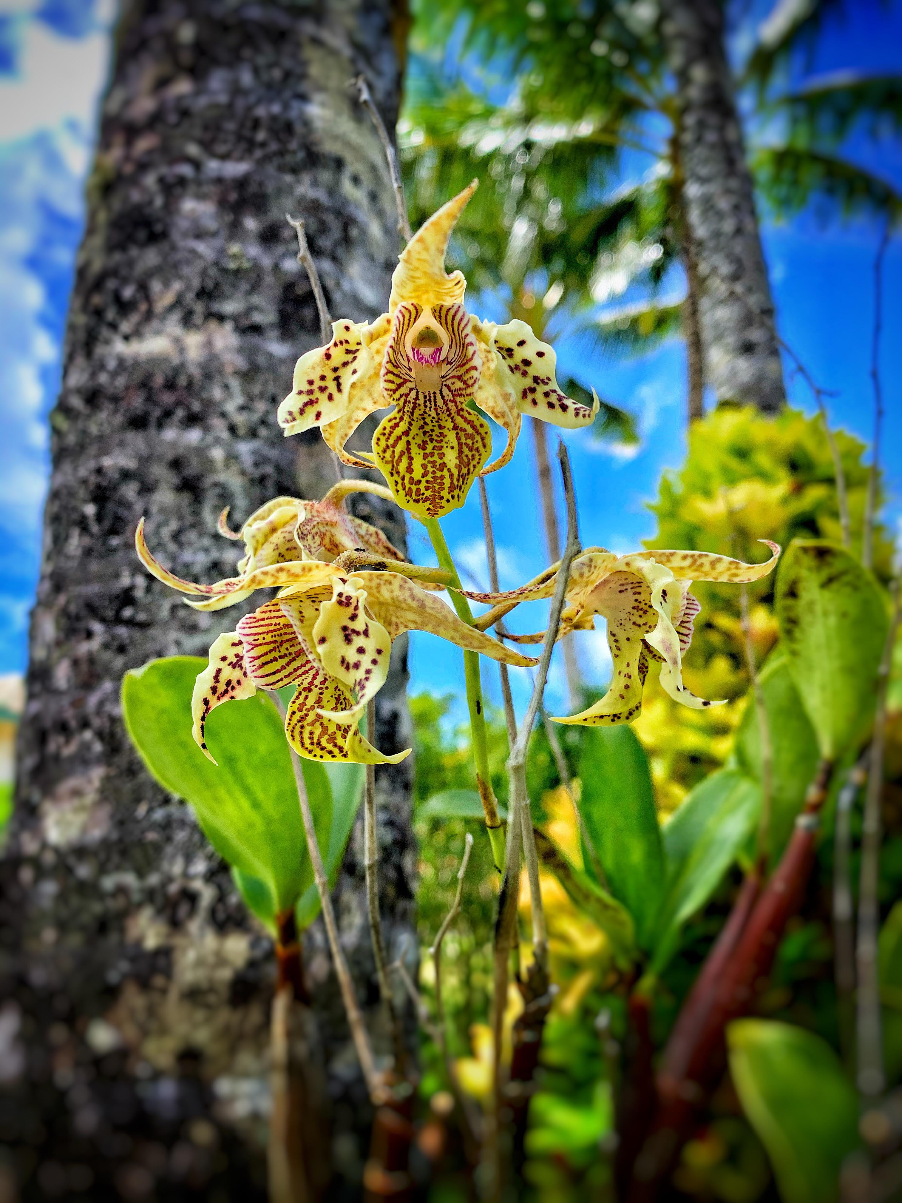 I now know why Kauai is called the Garden Isle r/pics