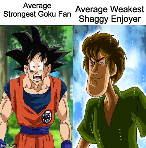 Average Strongest Goku Fan vs Average Weakest Shaggy Enjoyer (Shaggy