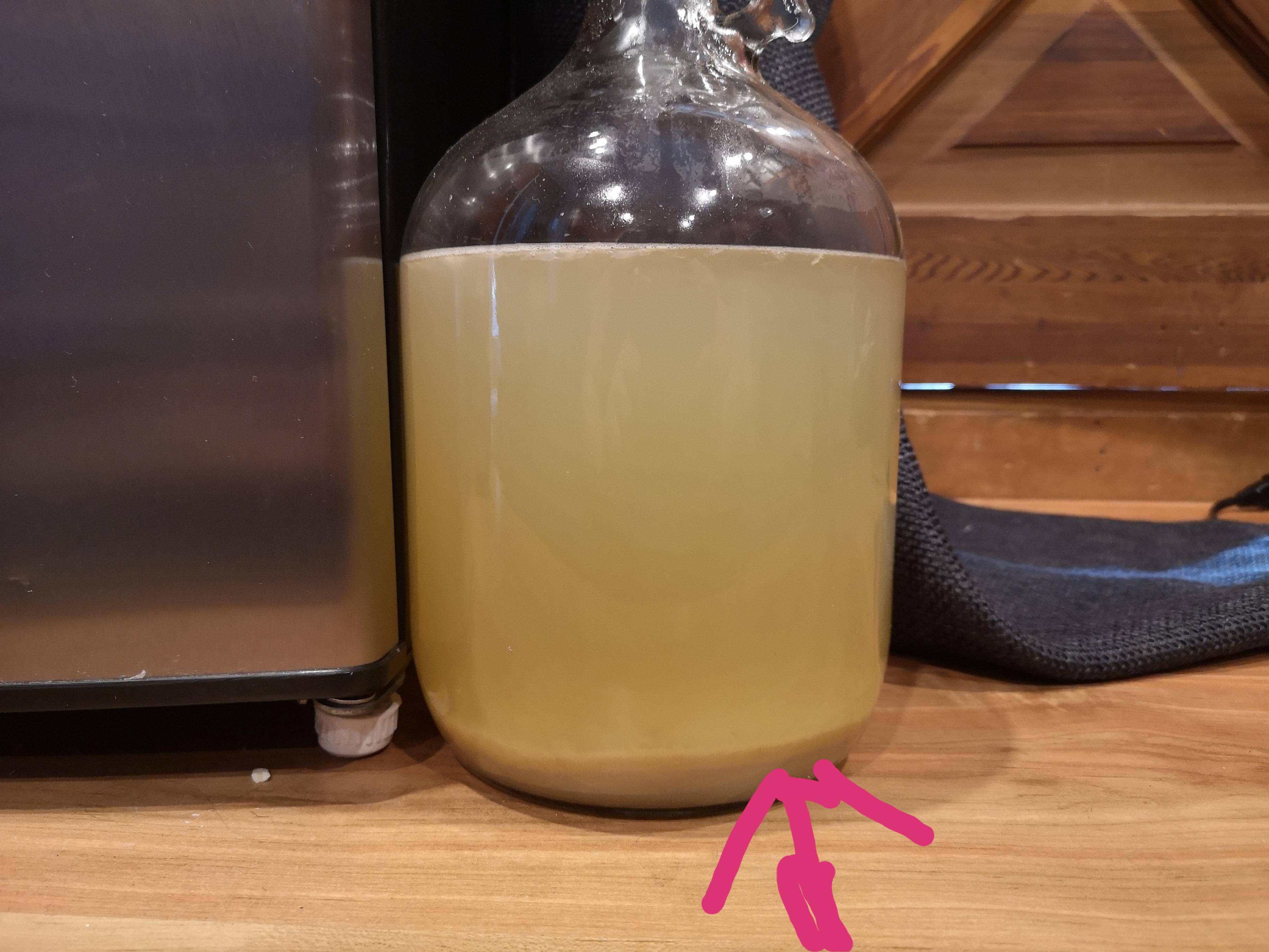 Ginger beer in fermentations, should I and if so how should I deal with