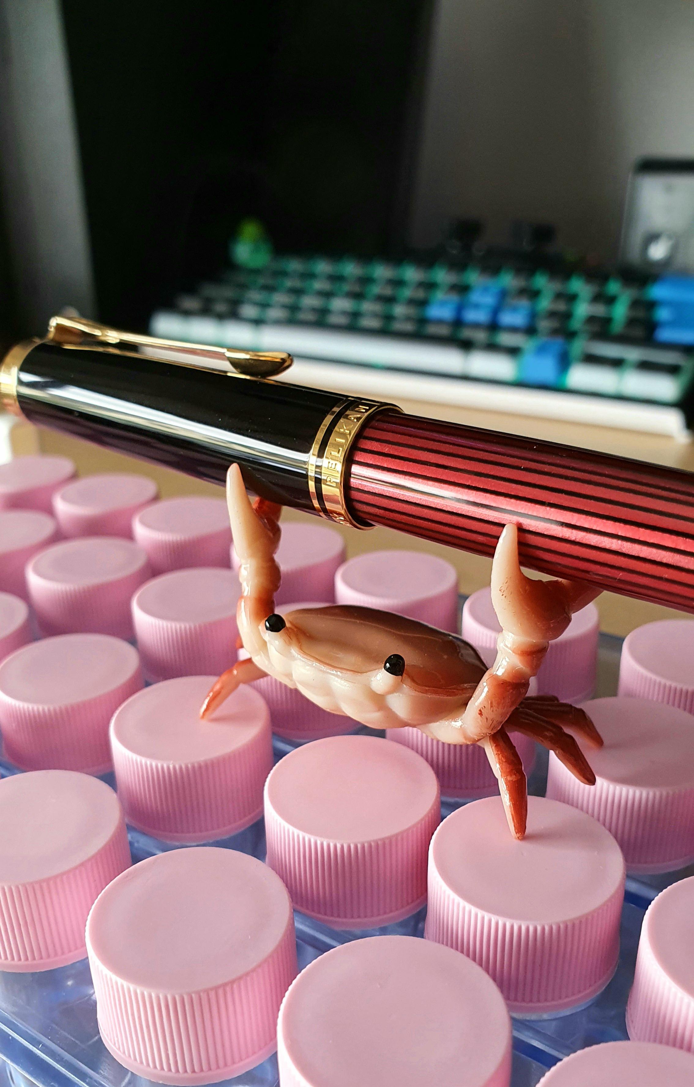 NCHD I joined the sacred guild of crab pen holder owners today 🙏 r