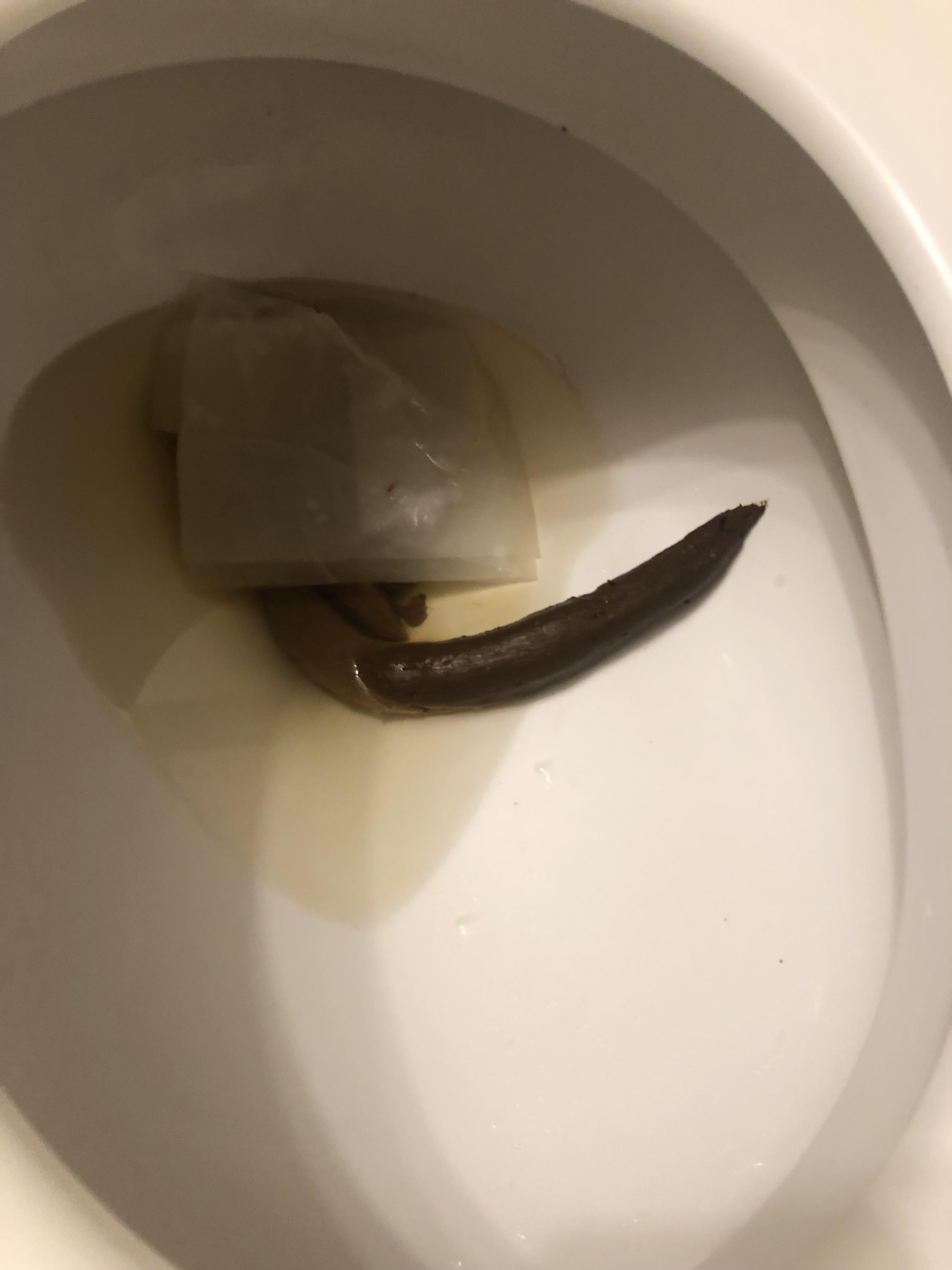 Should have taken a pic before wiping but I didn’t see how long it was