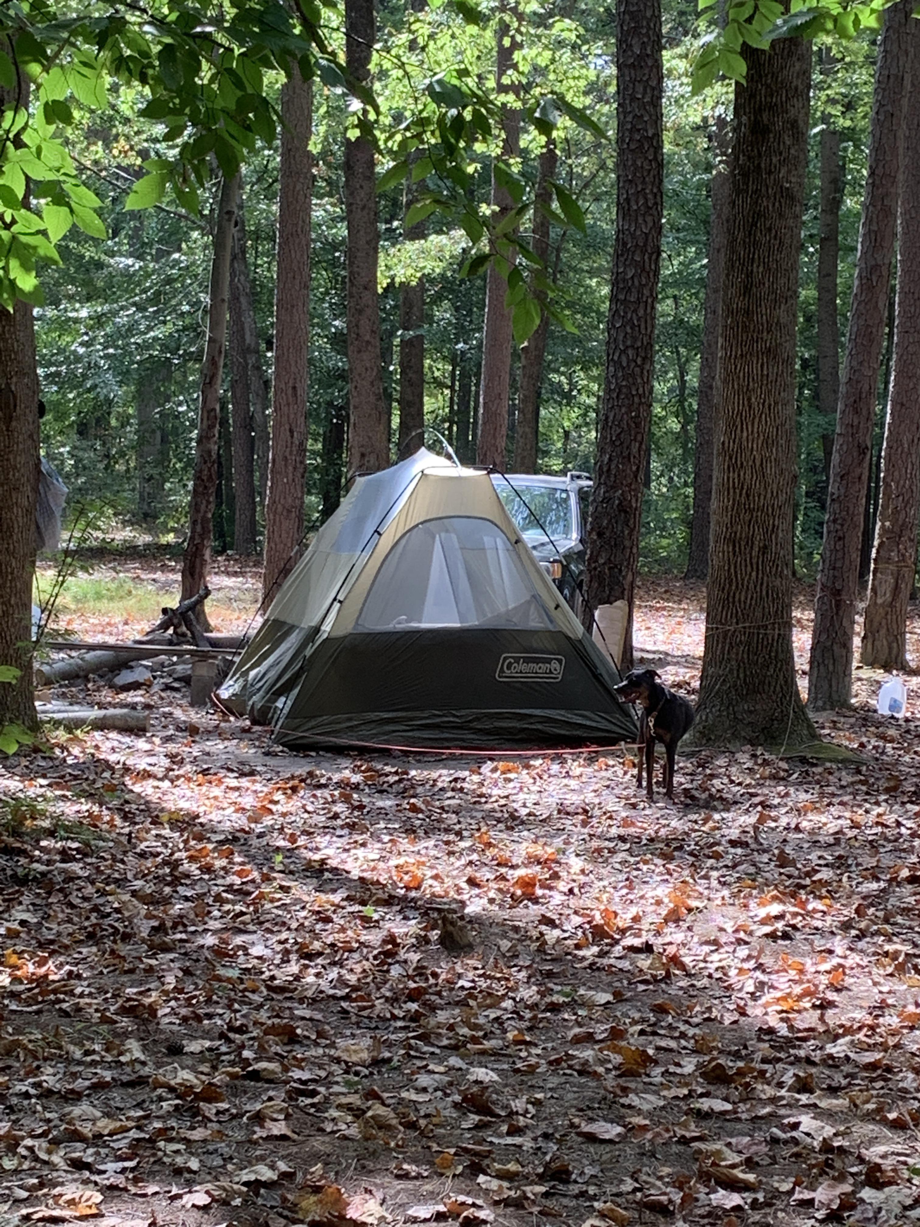 Hoosier National Forest with the pup r/camping
