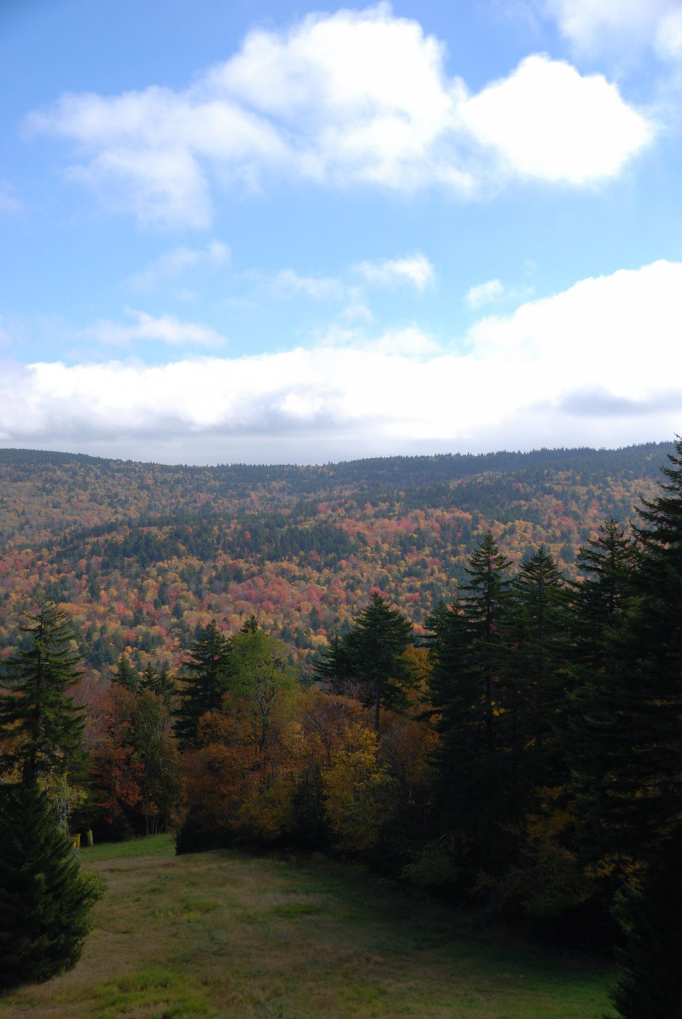 Pocahontas County, WV r/AutumnPorn