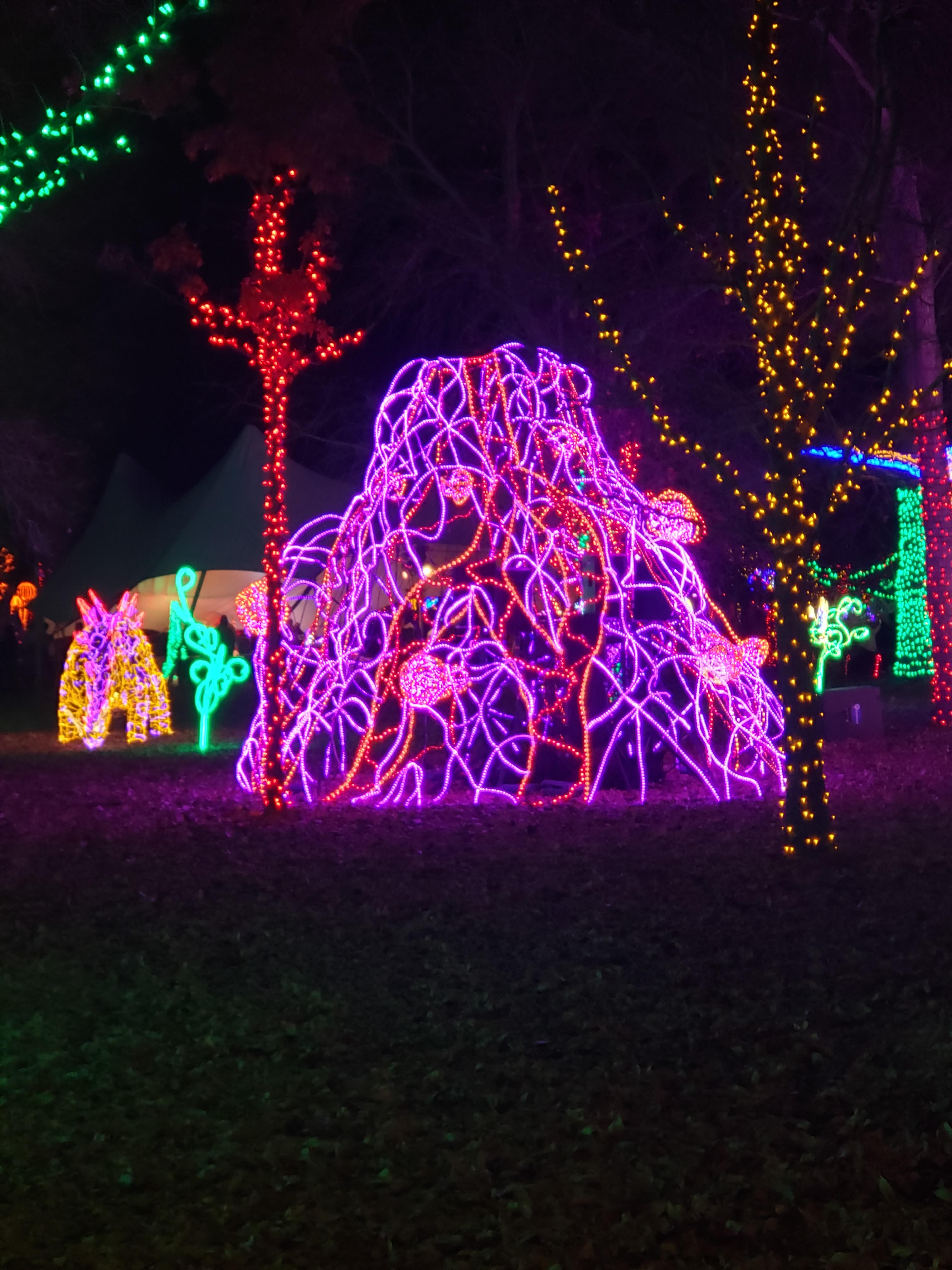Mysterious object at the Christmas light show looks eerily familiar