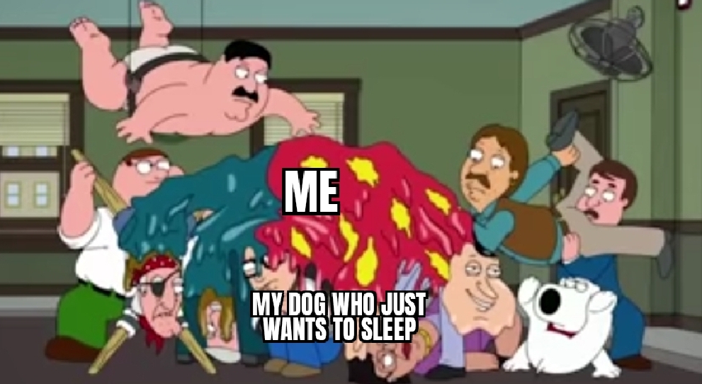 I love him too much r/memes