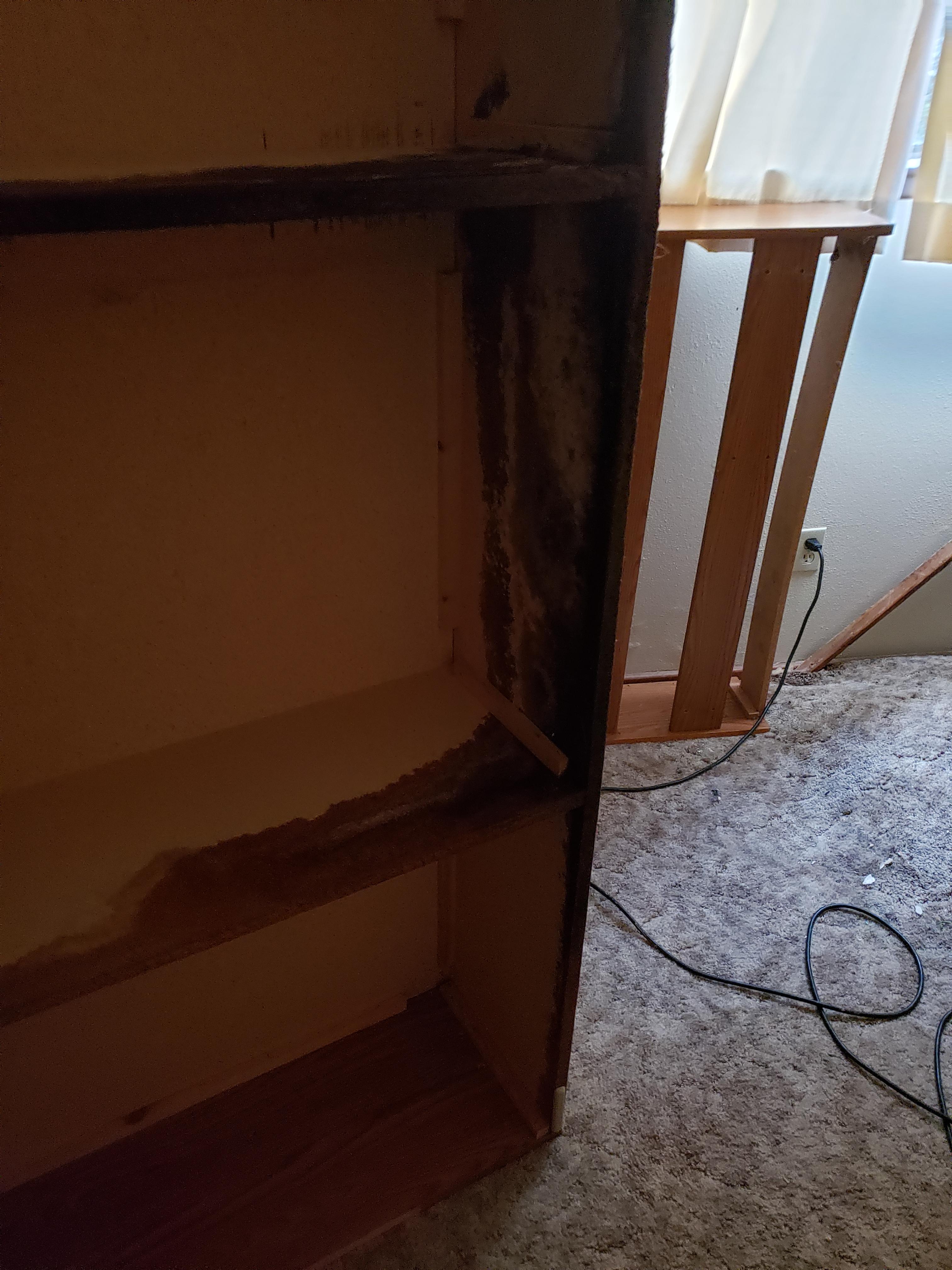 A pipe had been leaking and damaging my bed frame r/Wellthatsucks