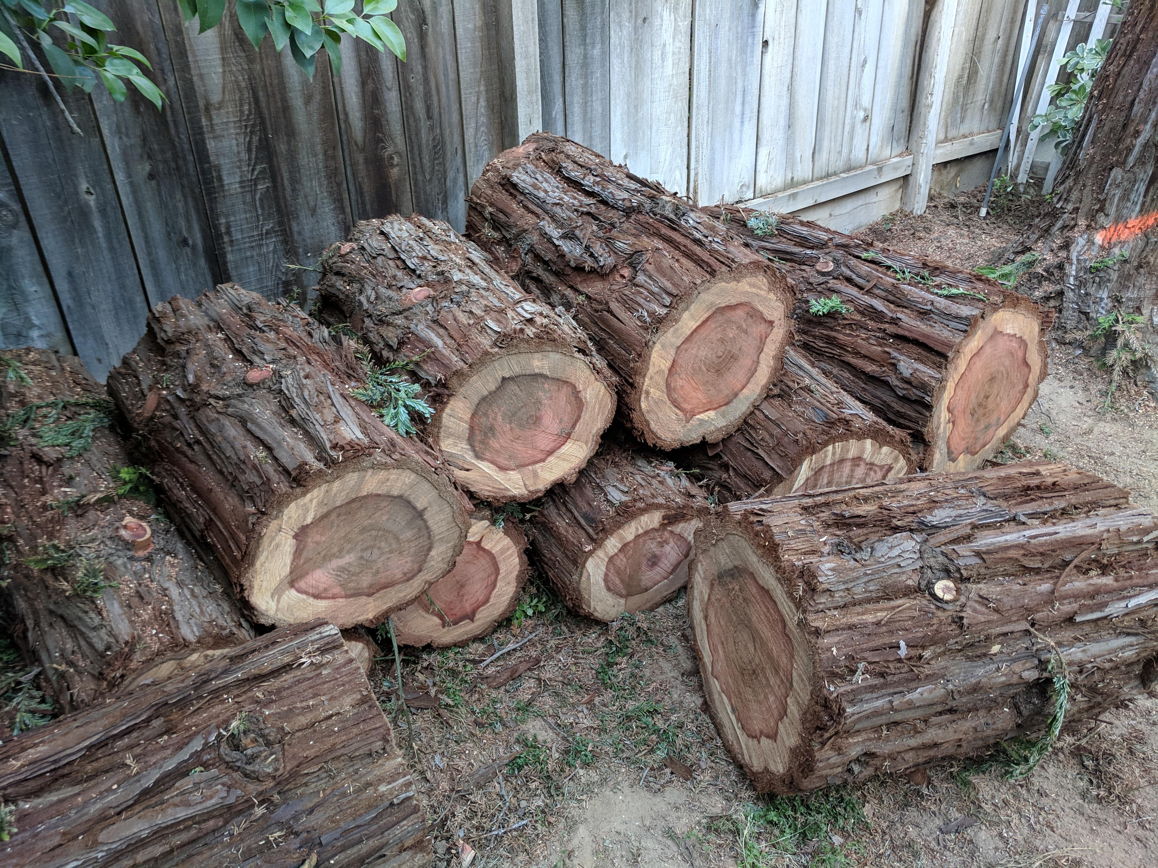 Had a dead redwood taken down in my back yard. Is it worth doing