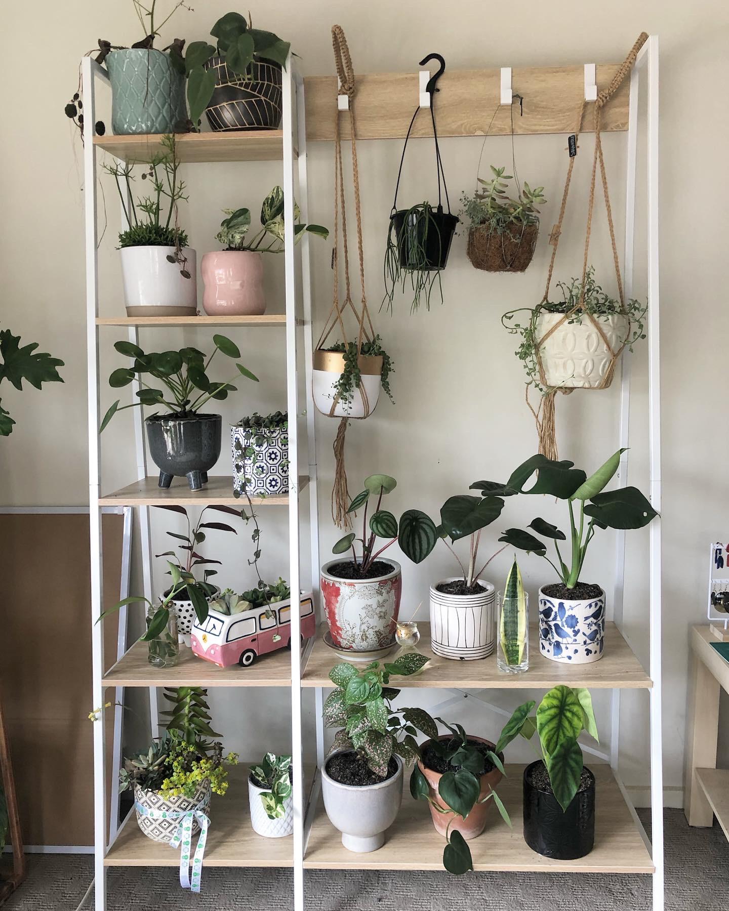 I turned an entryway storage unit into a plant stand and I’m in loooove