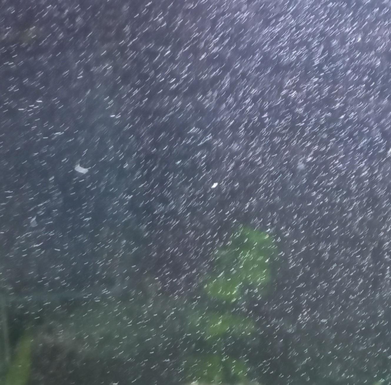 What are these types of bubbles in aquarium? they are all over the