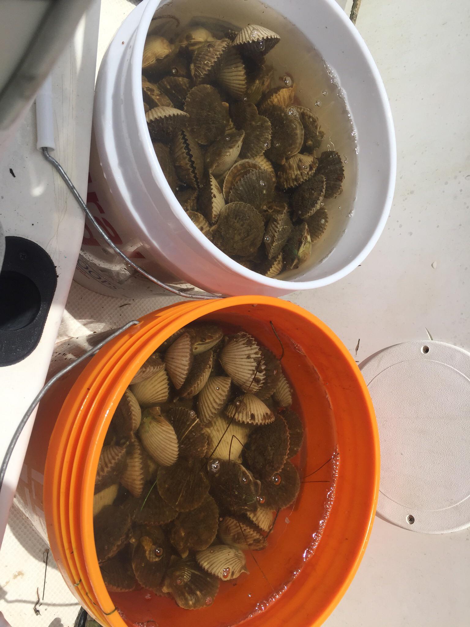 Scalloping counts as fishing right? r/Fishing