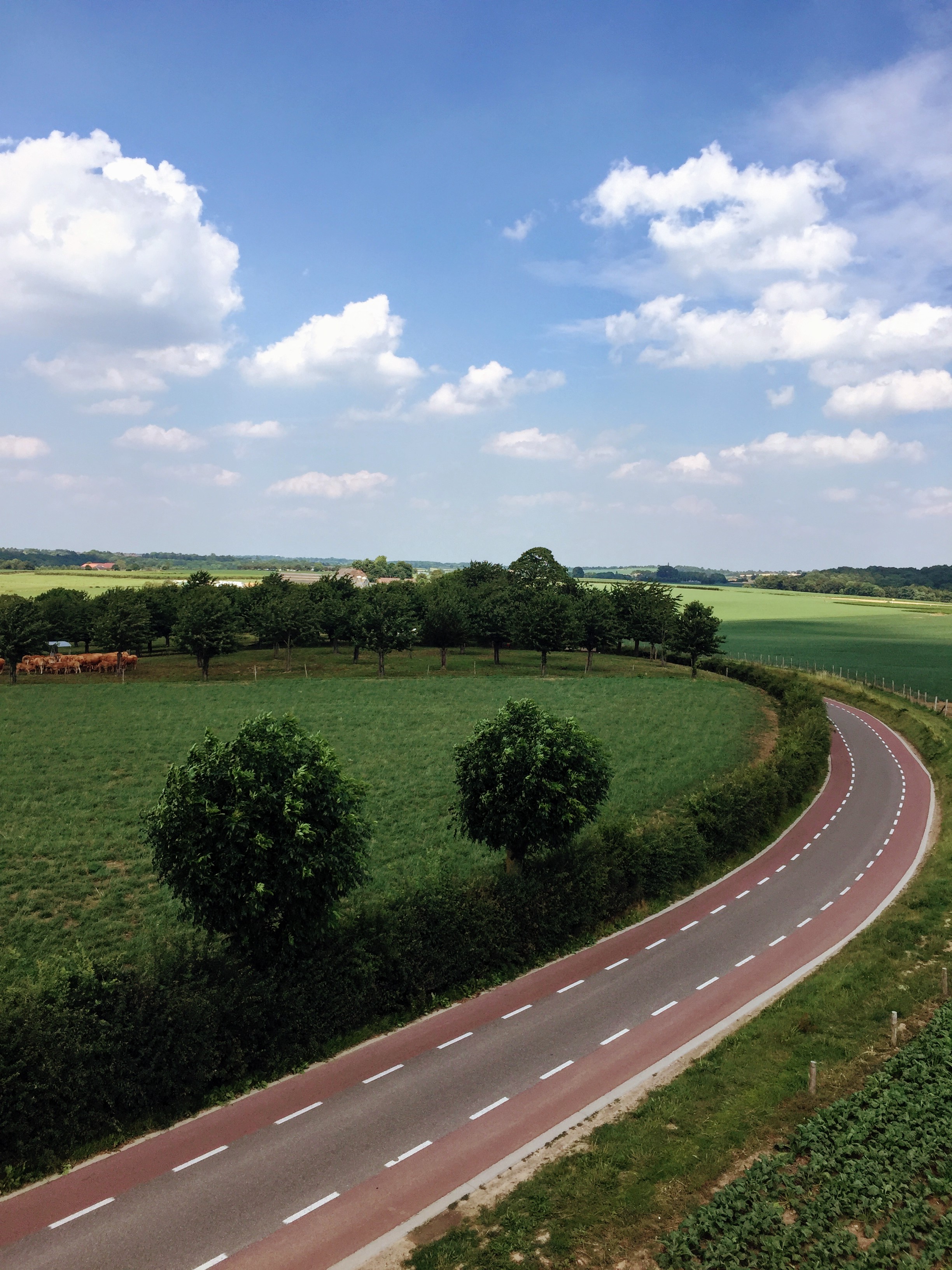 Cycling paths in the Netherlands. What are the roads like in your