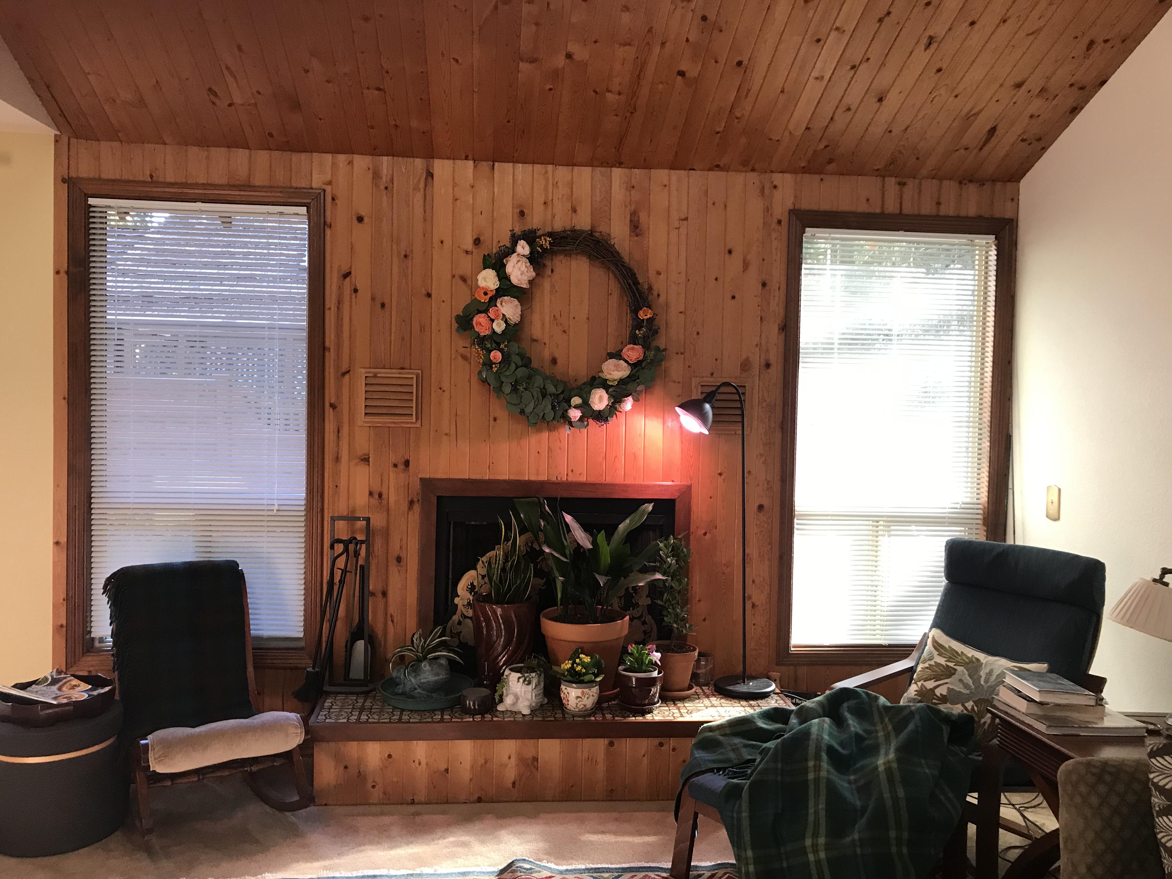 I’ve tried arranging indoor plants in