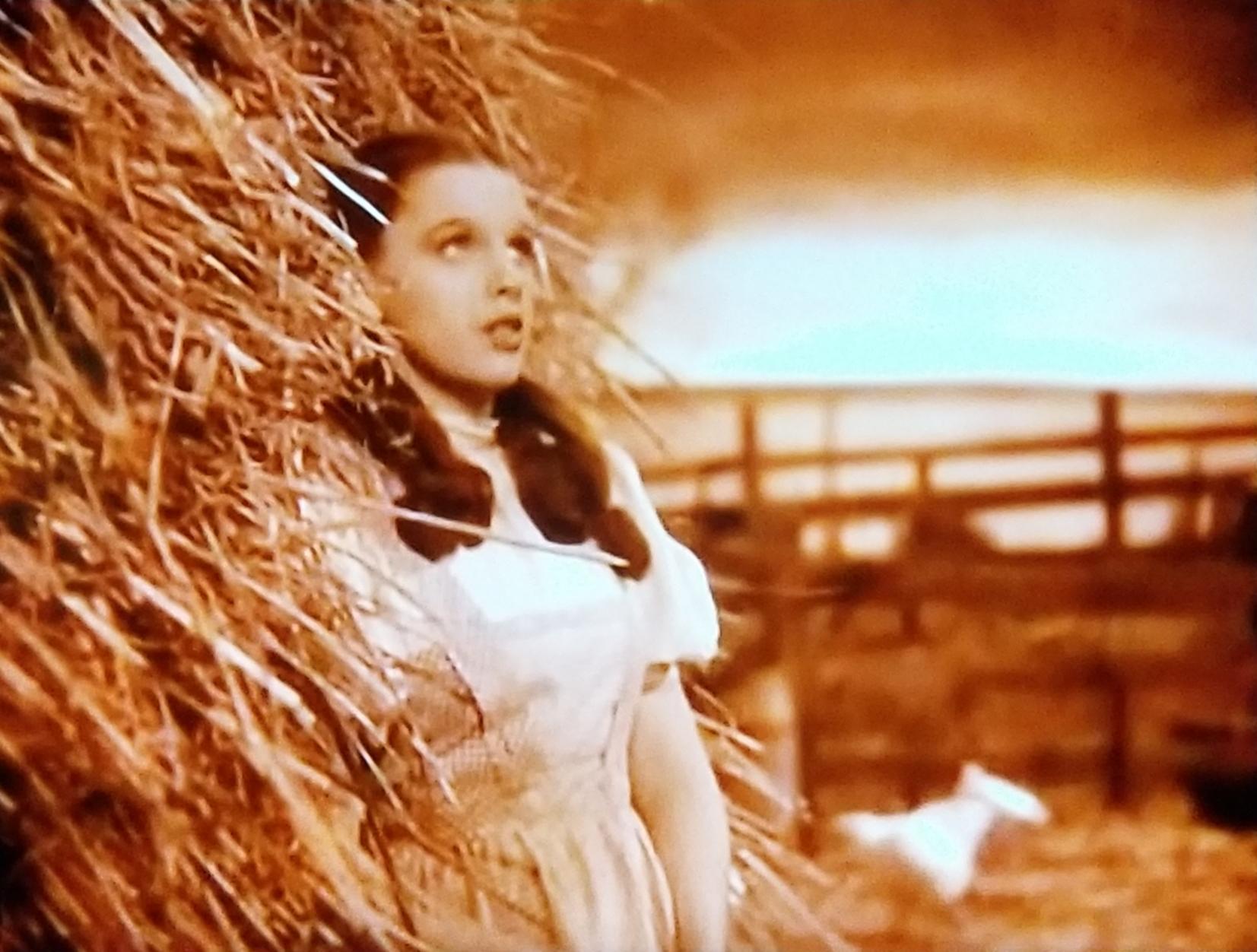 Watching DSOM and The Wizard of Oz mashup with some Pink Floyd newbies