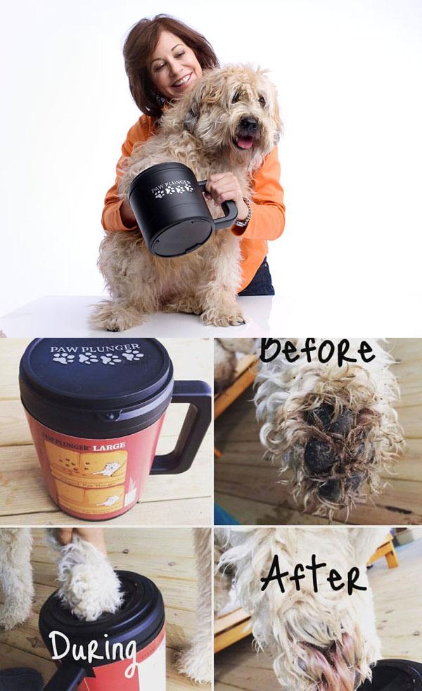 Paw plunger for dogs r/ProductPorn