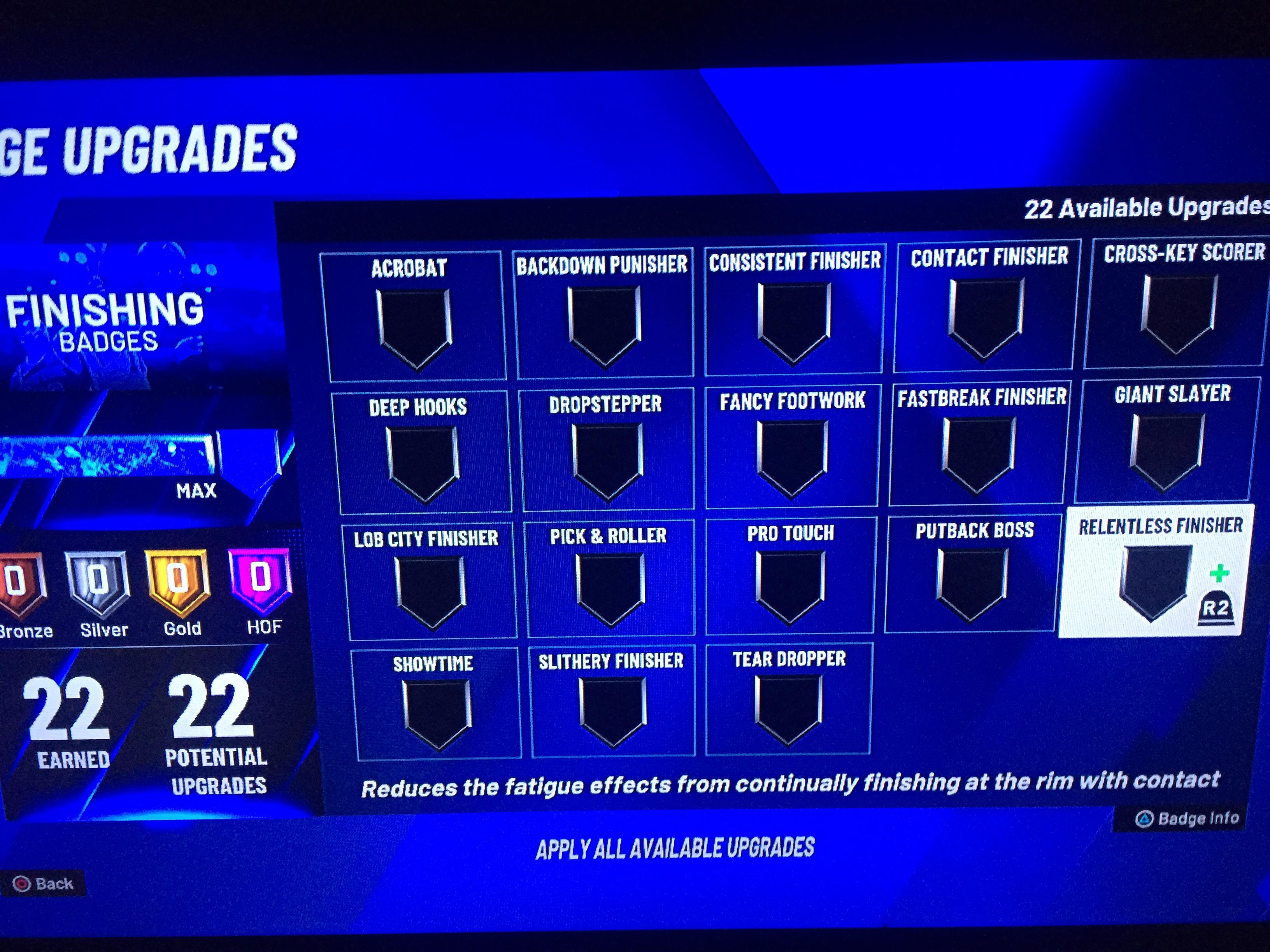 I am a 7'3 paint Beast I have 22 finishing badges what badges should I