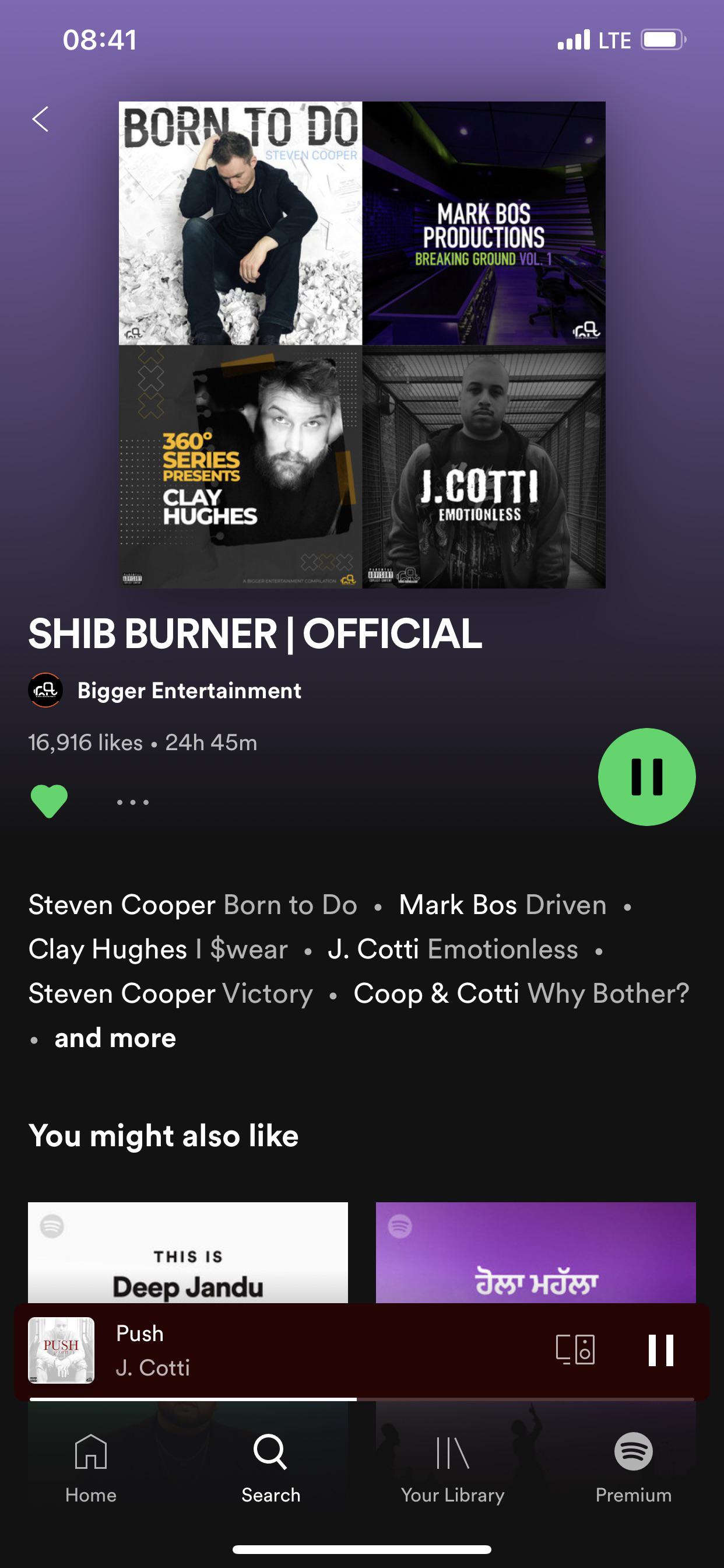 Does anyone know if this is the actual official burner playlist?? r