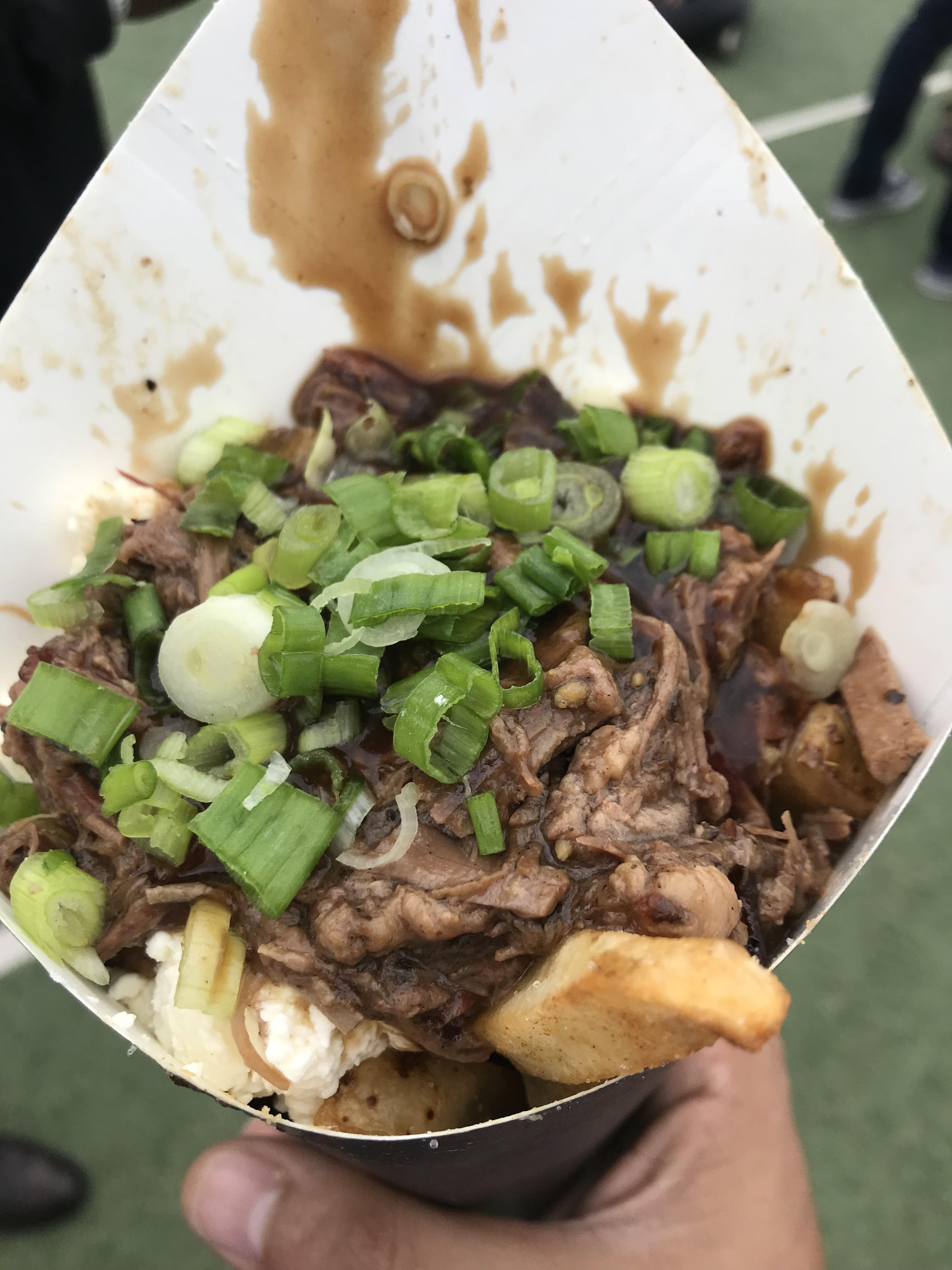 [OC] fries, brisket, cheese curds, gravy, Scallions r/FoodPorn