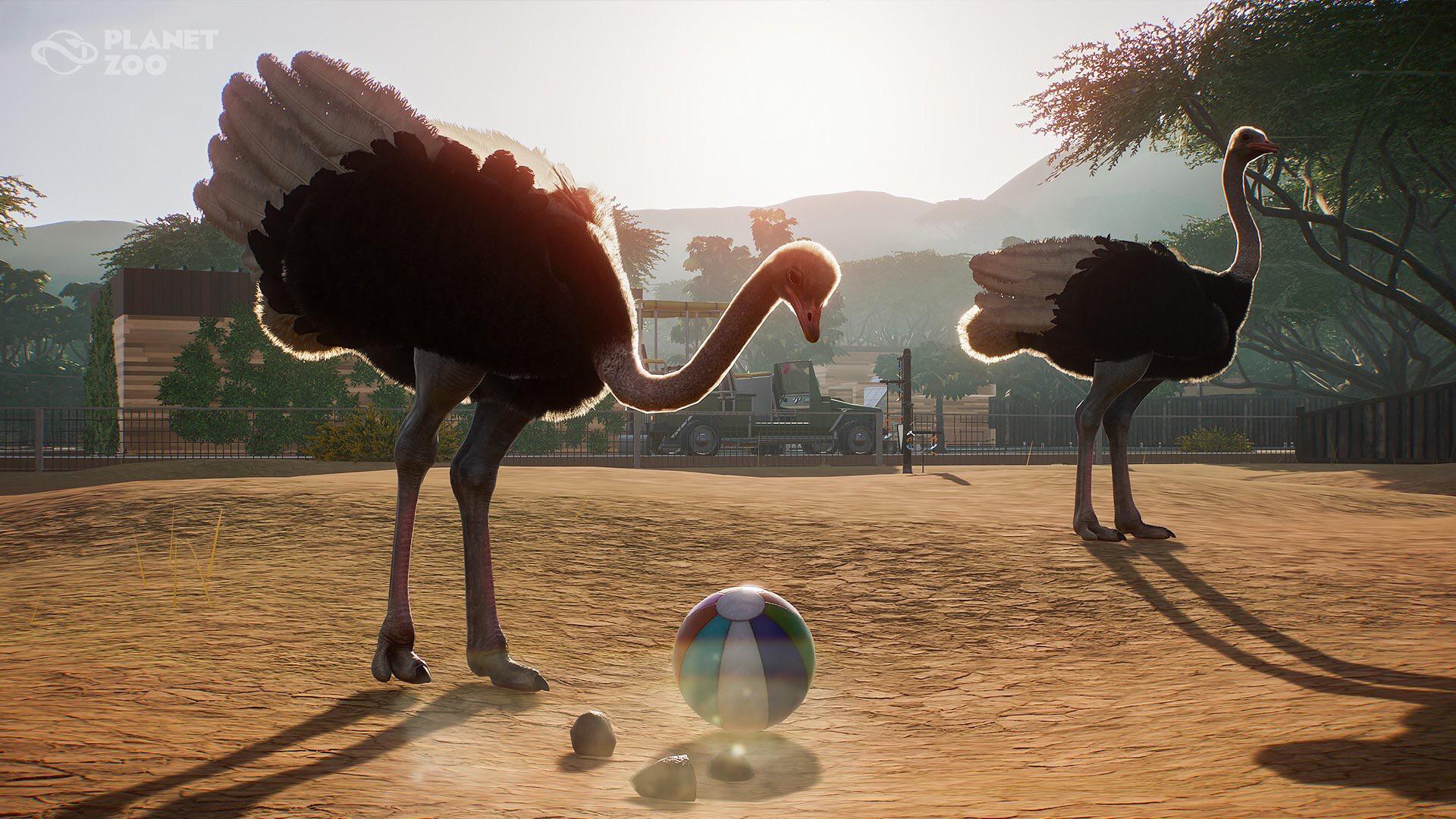 New common ostrich screenshot )
