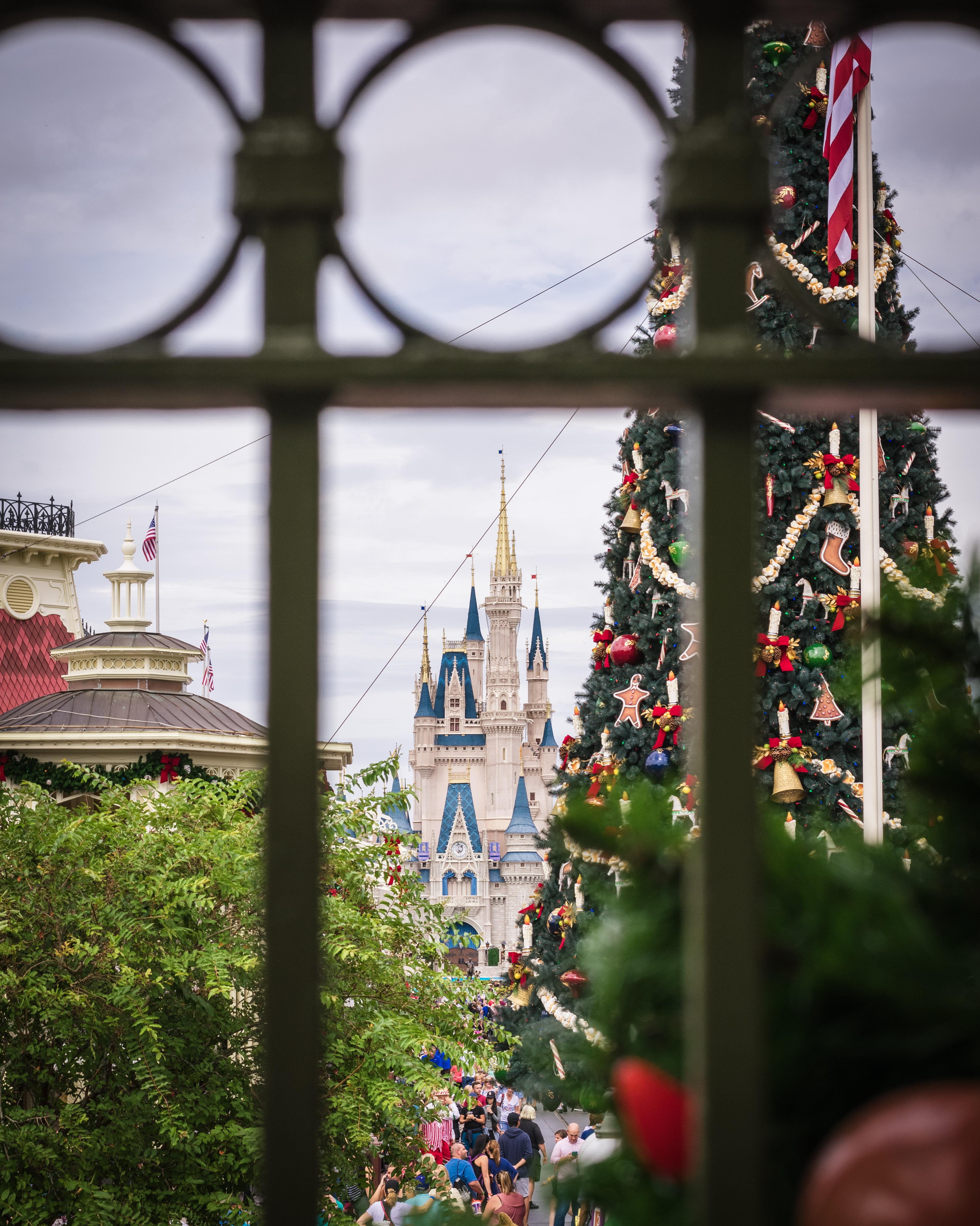 According to the mouse, it's never too early to decorate for Christmas