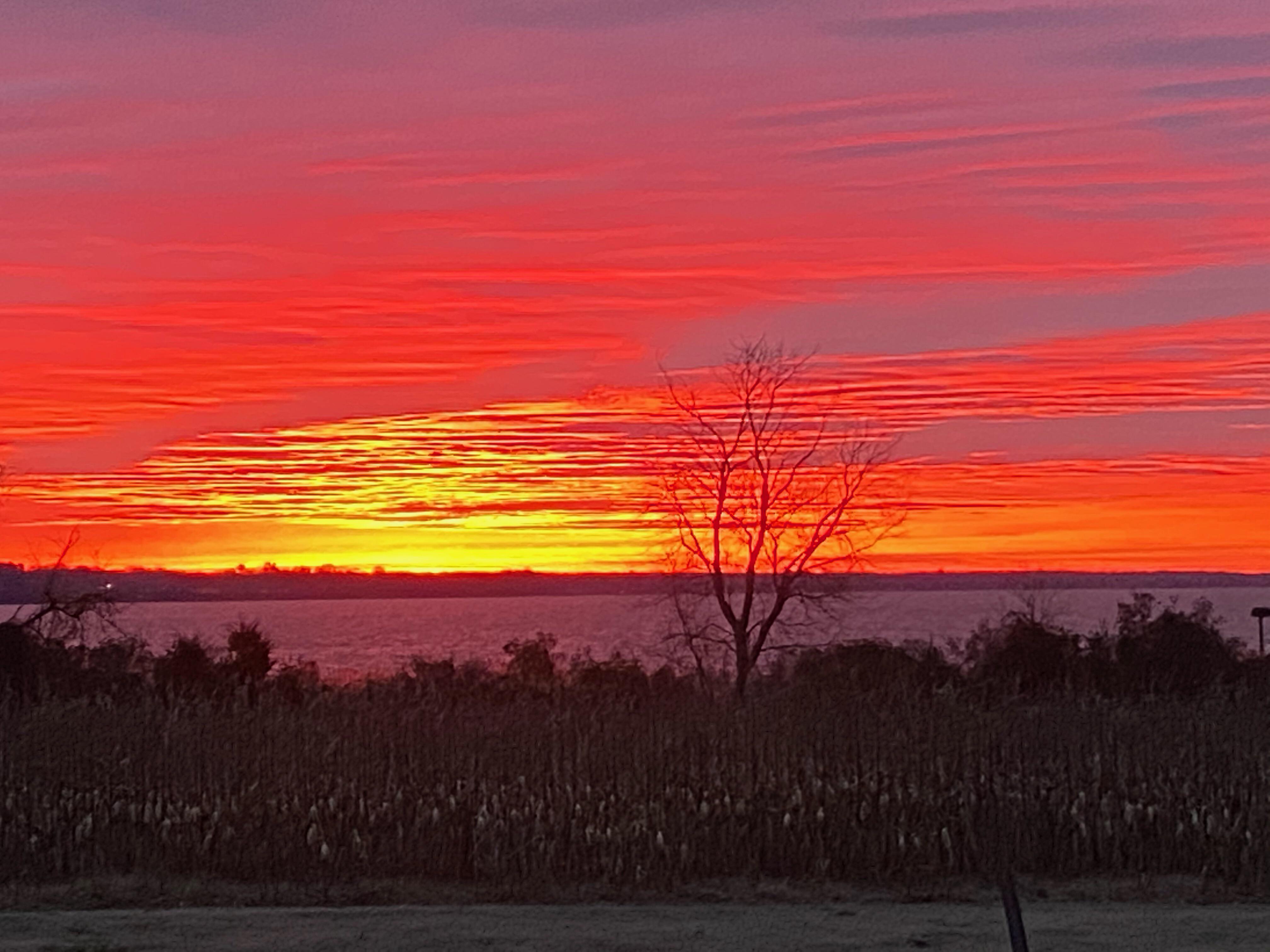 Broomes Island just now. r/sunrise