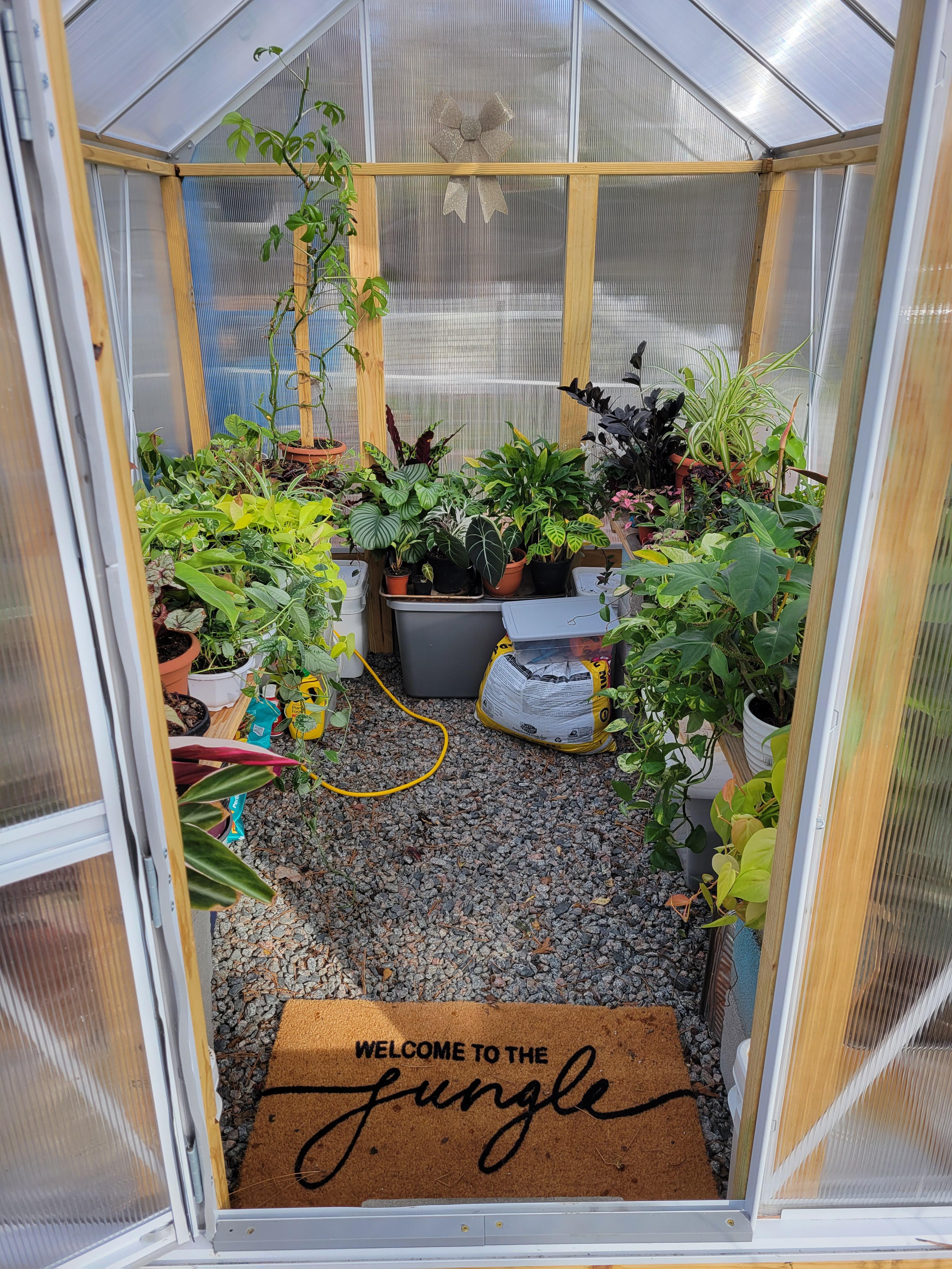 Moved all my tropicals out to my Harbor Freight greenhouse! r/Greenhouses