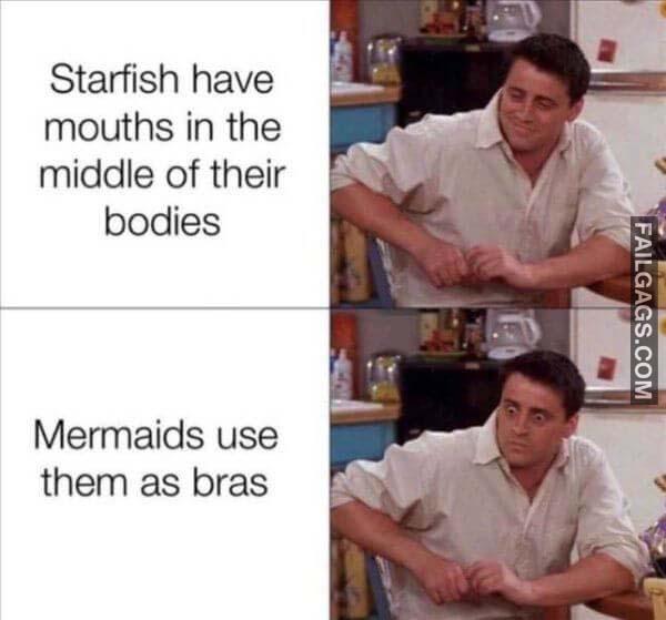 mermaids use starfish as bra funny memes r/failgags