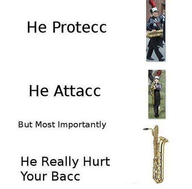 The life of a bari sax. r/marchingband