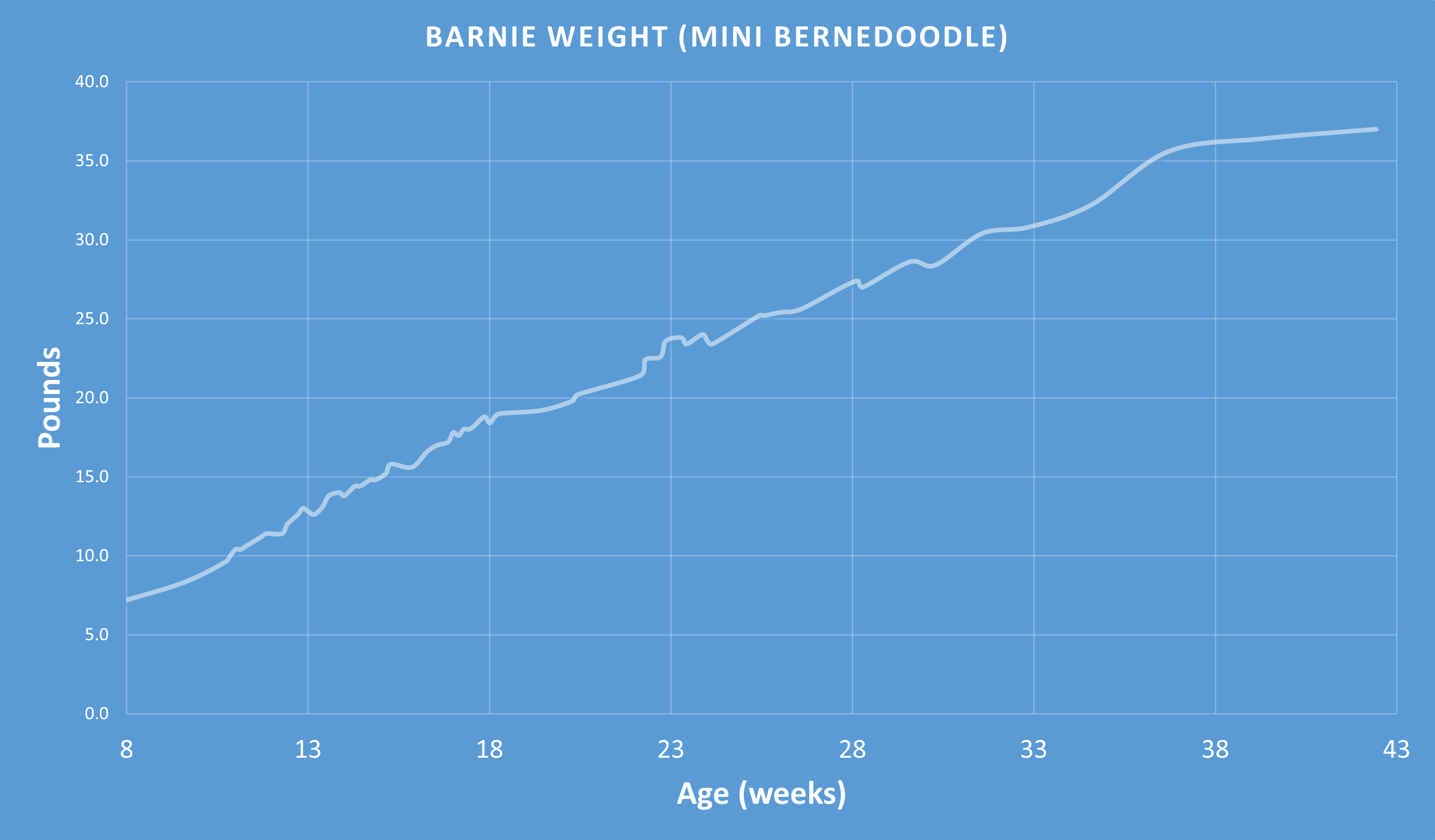We tracked the weight of our mini bernedoodle Barnie from 8 weeks to 43