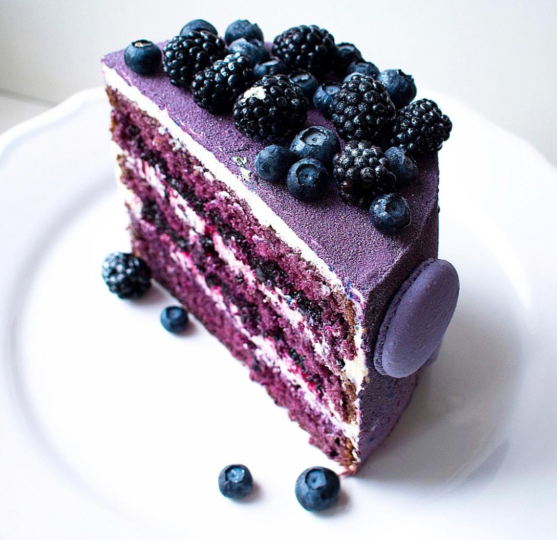 Sponge cake for lovers of Blueberries r/Baking