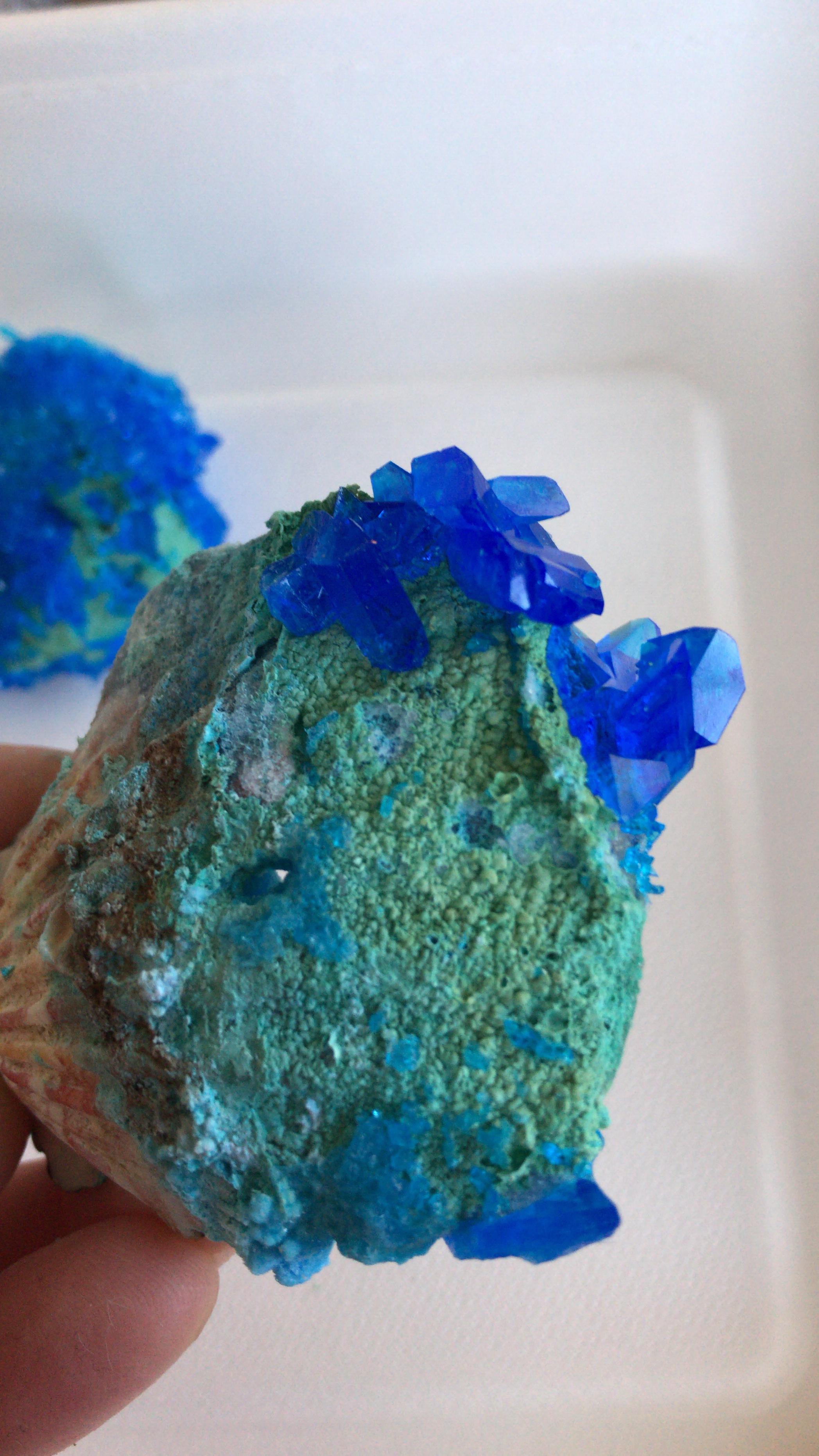 Copper Sulfate Pentahydrate Crystals forming on sea shells. r
