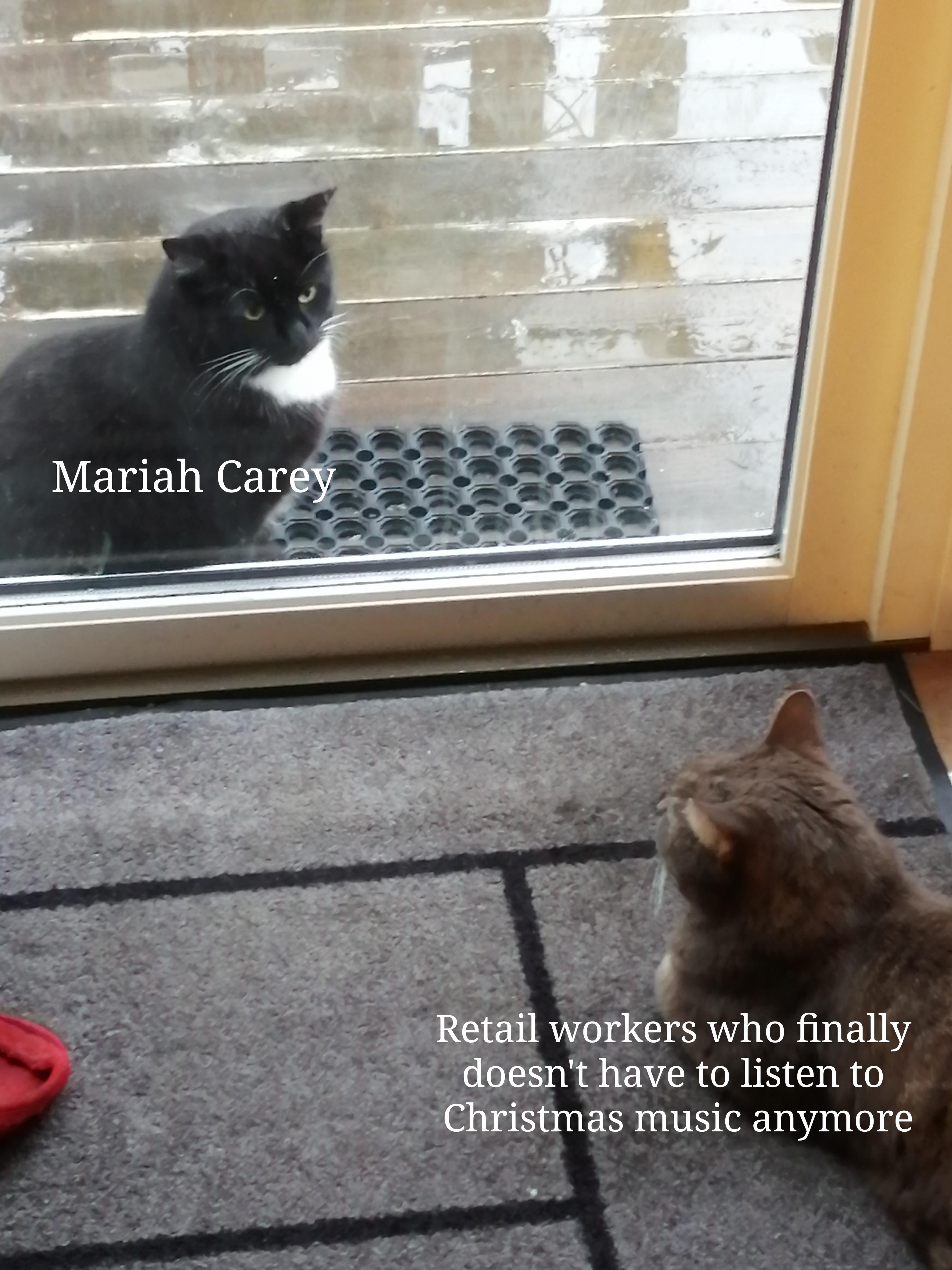 Cats are a good investment, right? r/MemeEconomy