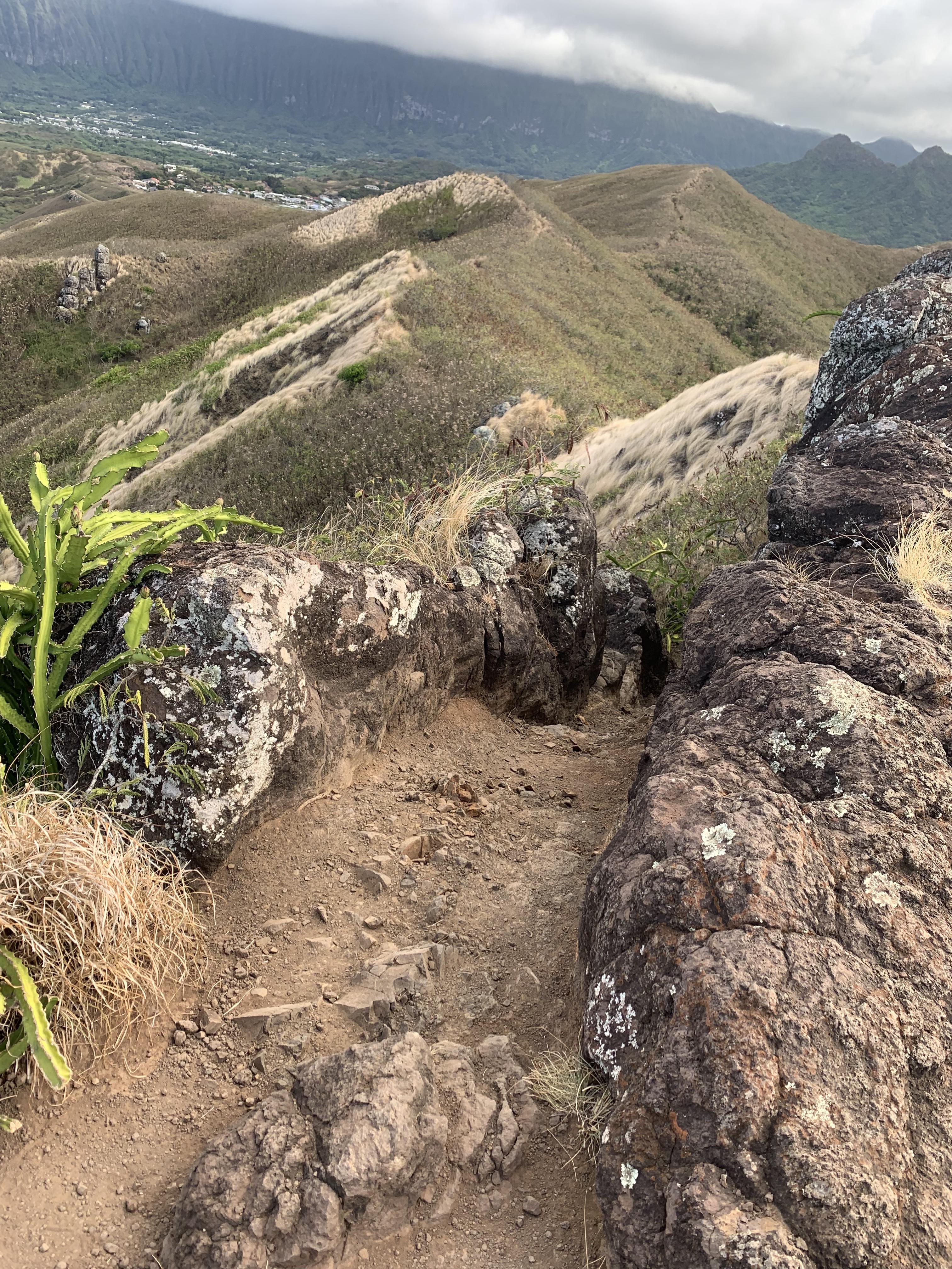 Ridge run in Paradise (Oahu, HI) r/trailrunning