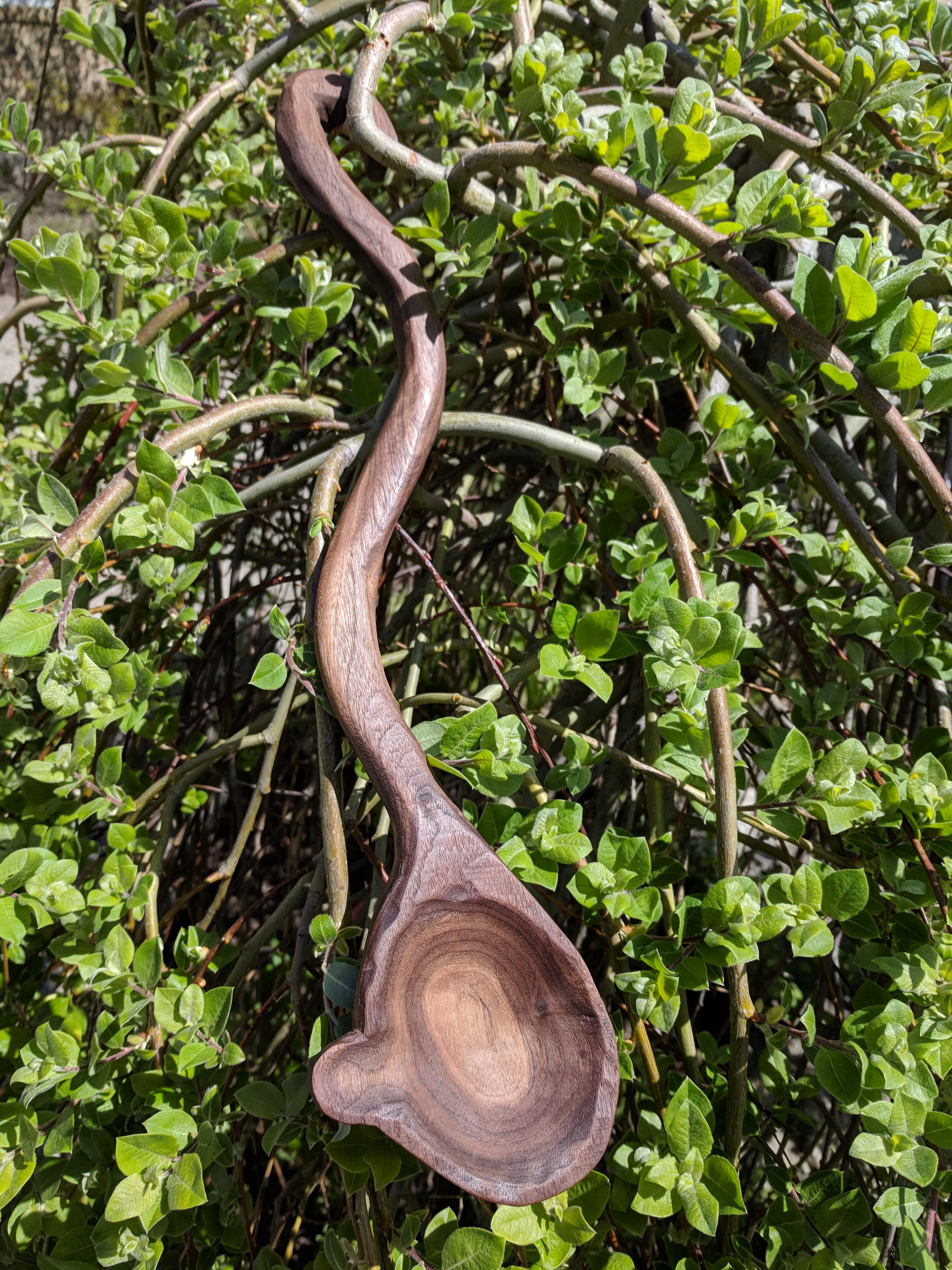 decorative spoon, walnut, lemon oil finish r/Woodcarving
