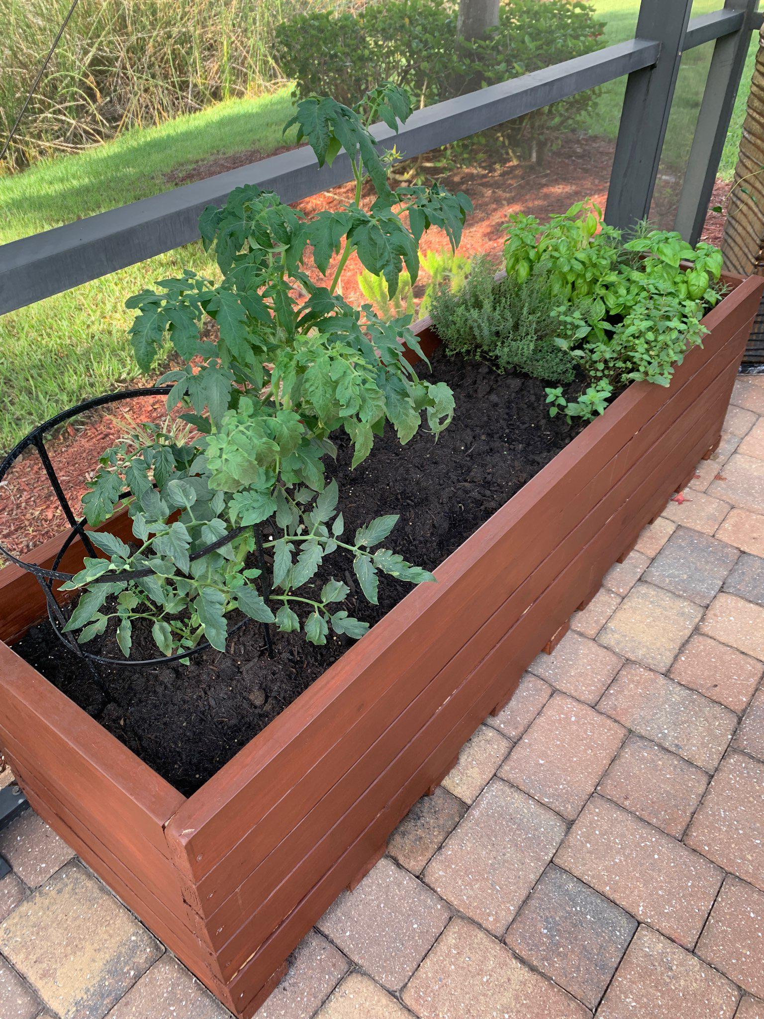 I built a raised herb garden, plus tomatoes r/gardening