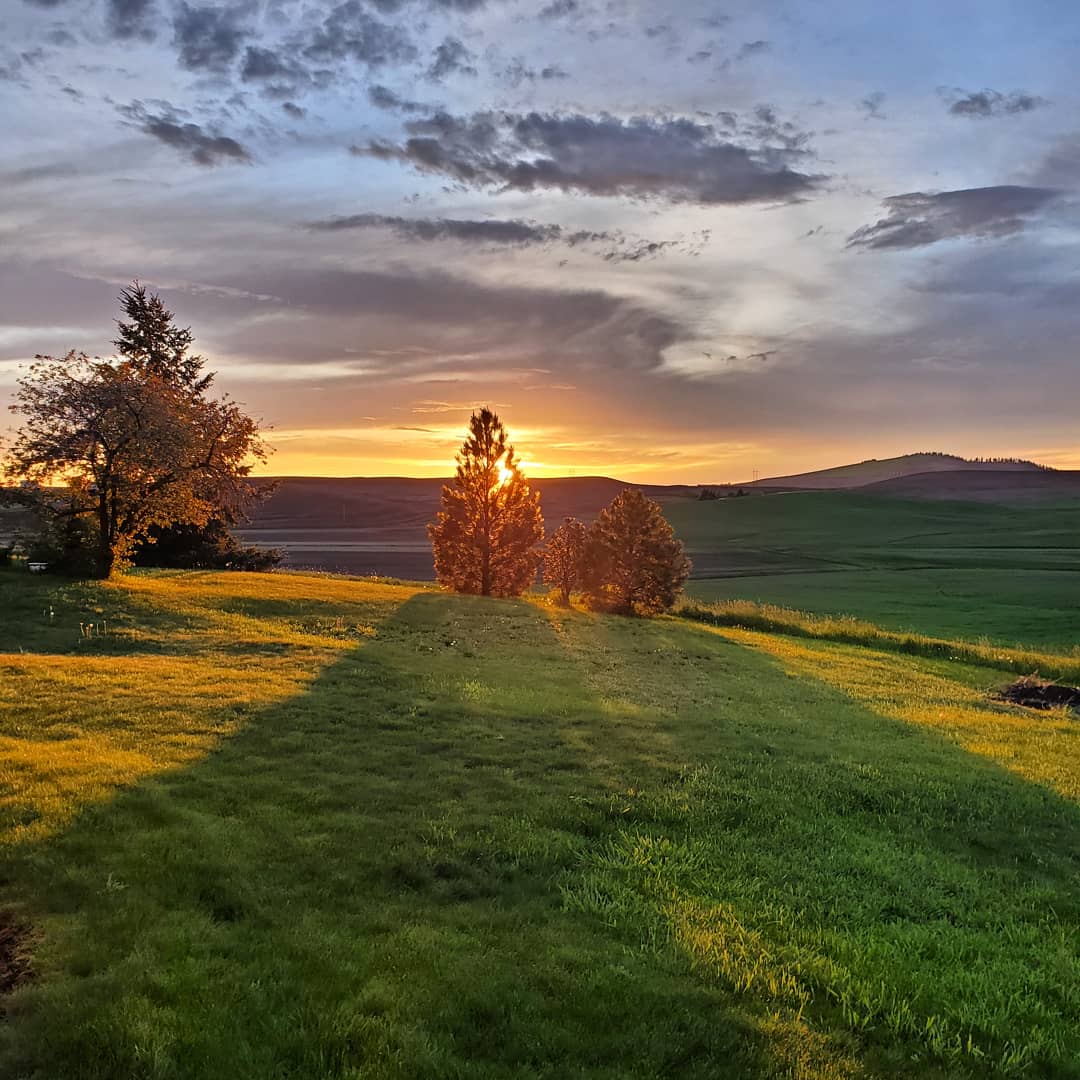 The palouse at sunset. r/Idaho
