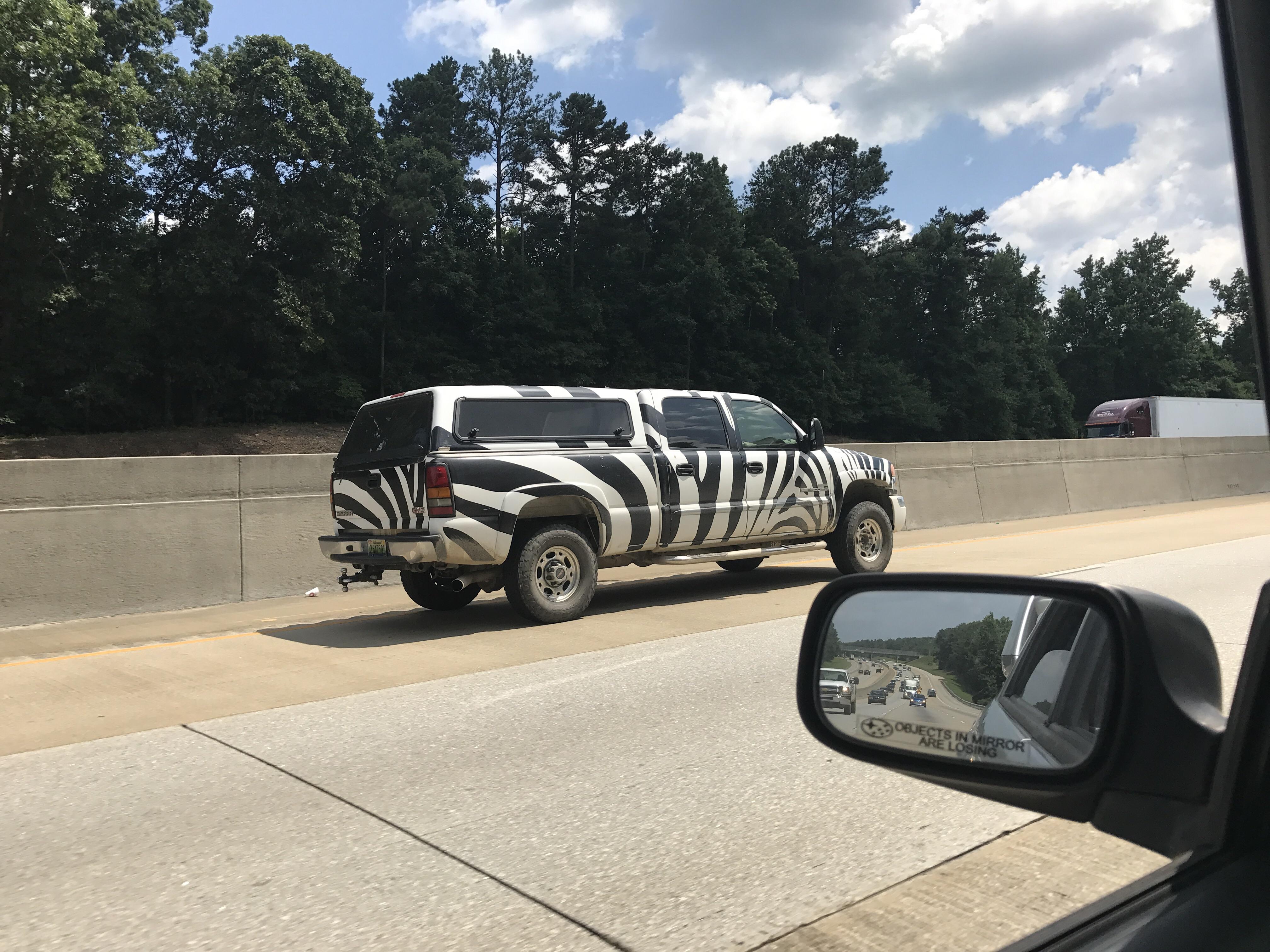 This truck I passed had a zebra paint job for seemingly no reason at