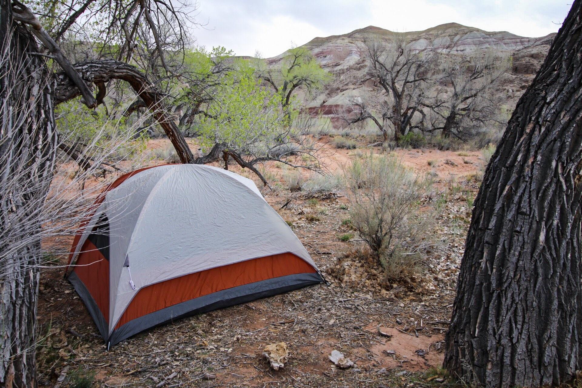 Best Camping In Utah National Parks Get More Anythink's