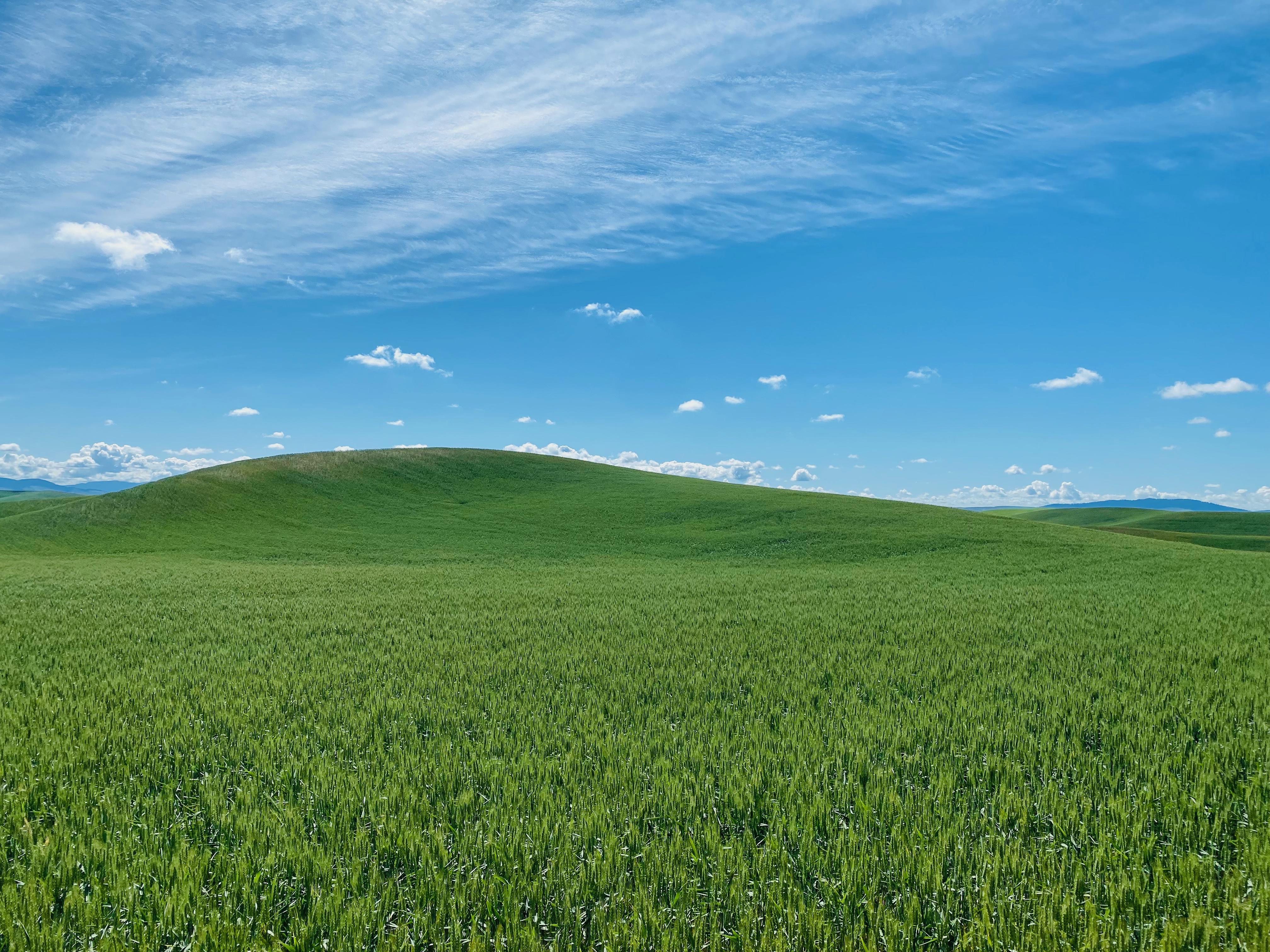 Windows Green Hills Background