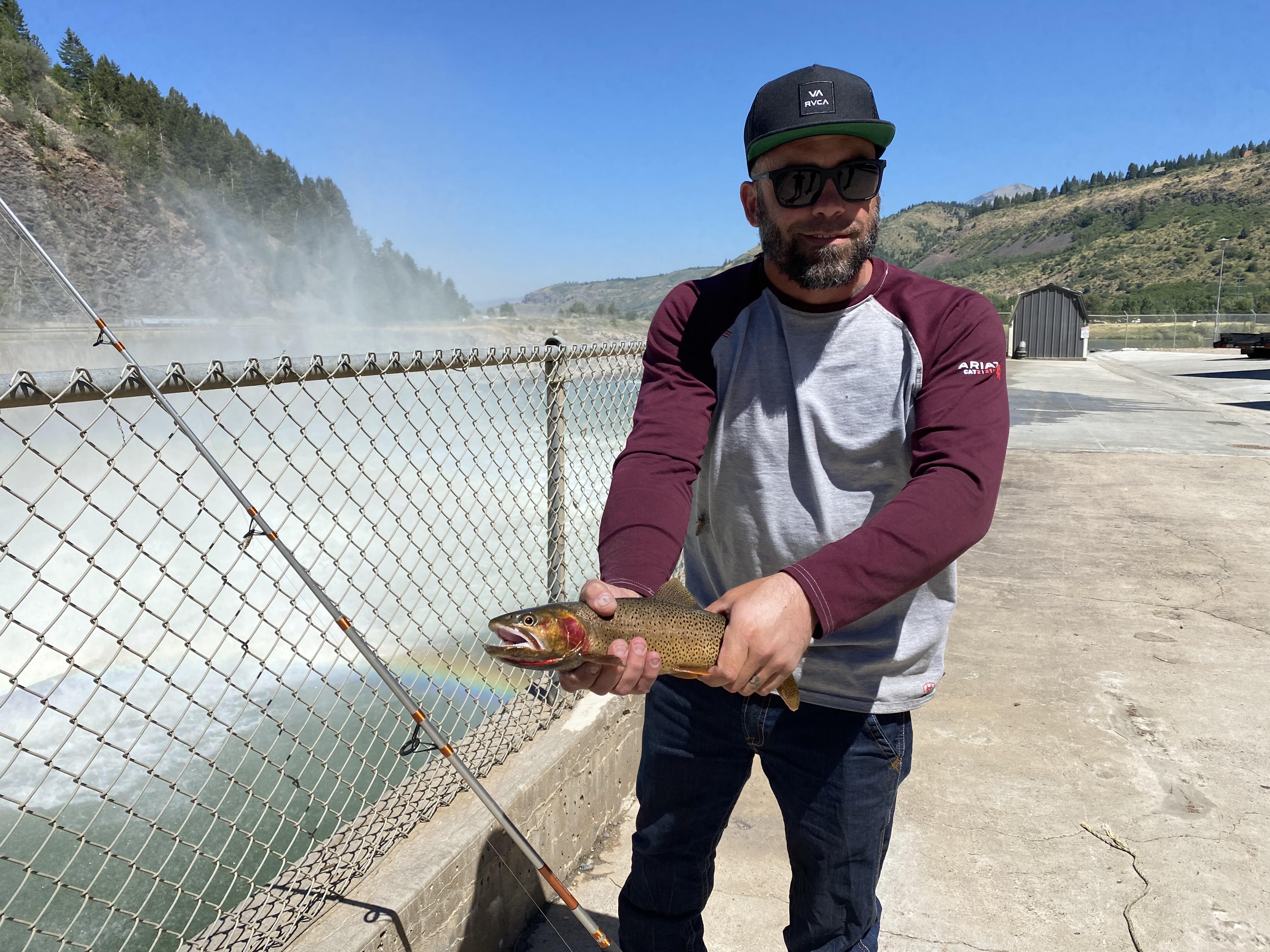 Yellowstone Cutthroat. Salmon Fly Hatch. Swan Valley, Idaho. r/Fishing