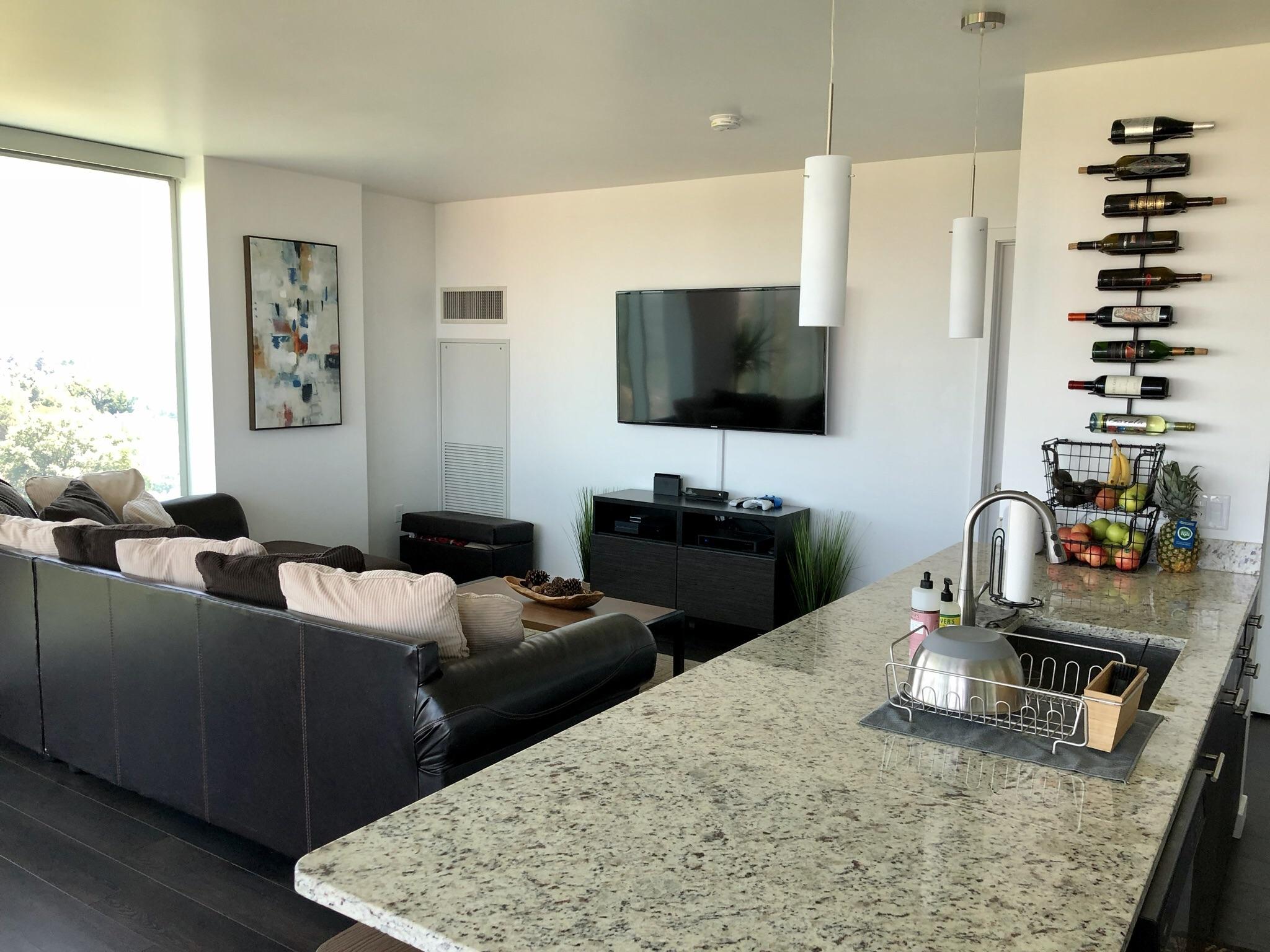 Denver Apartment r/malelivingspace