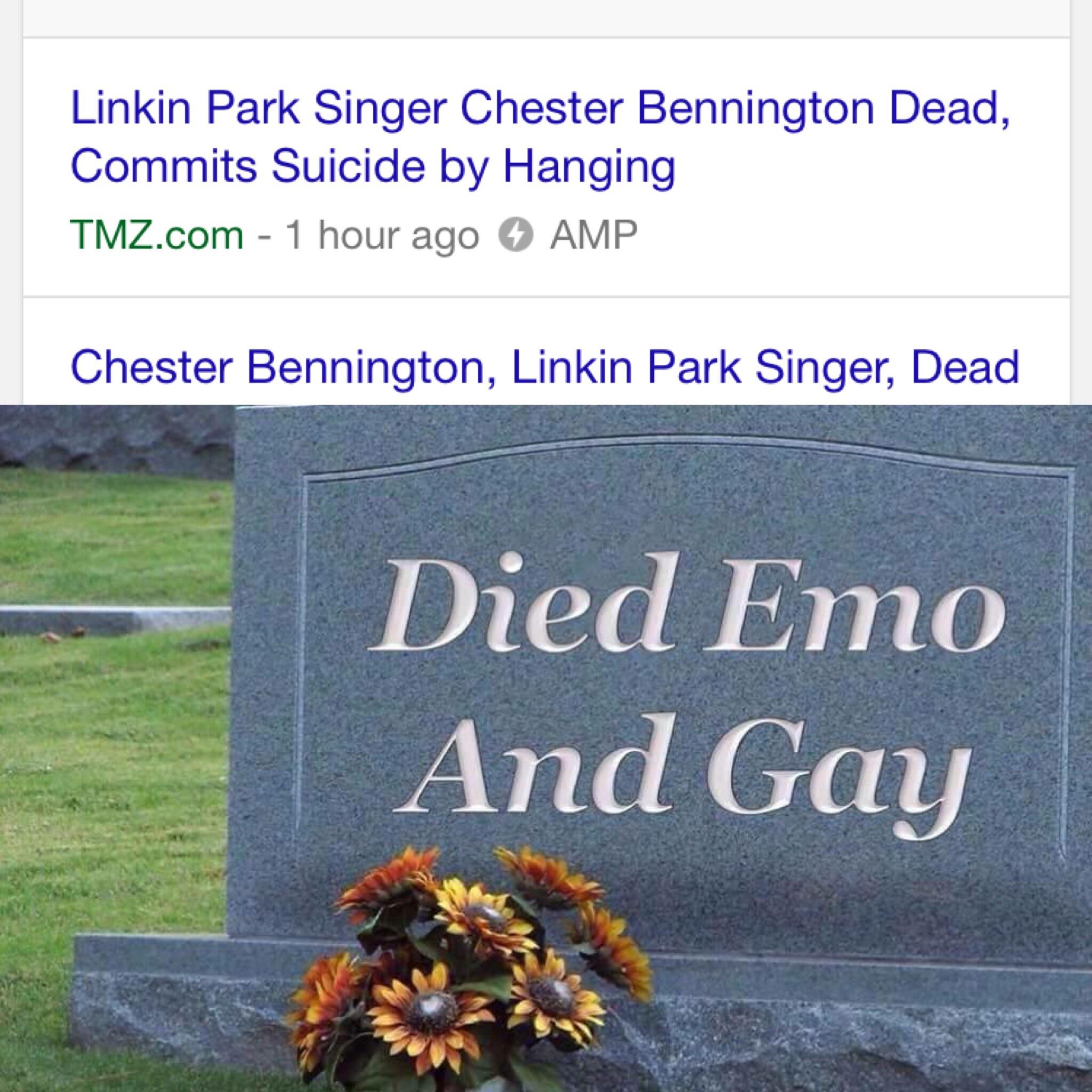 Back at with the too soon memes r/MemezForDayz