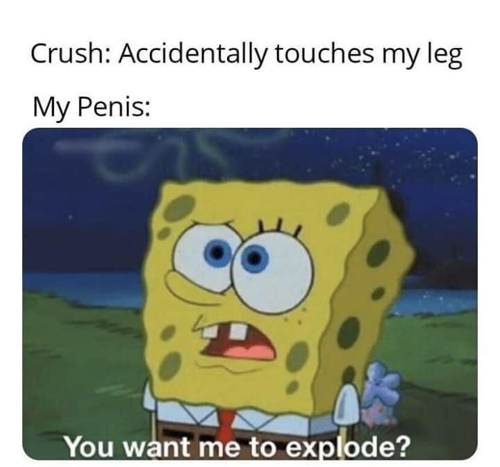 for all you crude meme lovers nonsimps