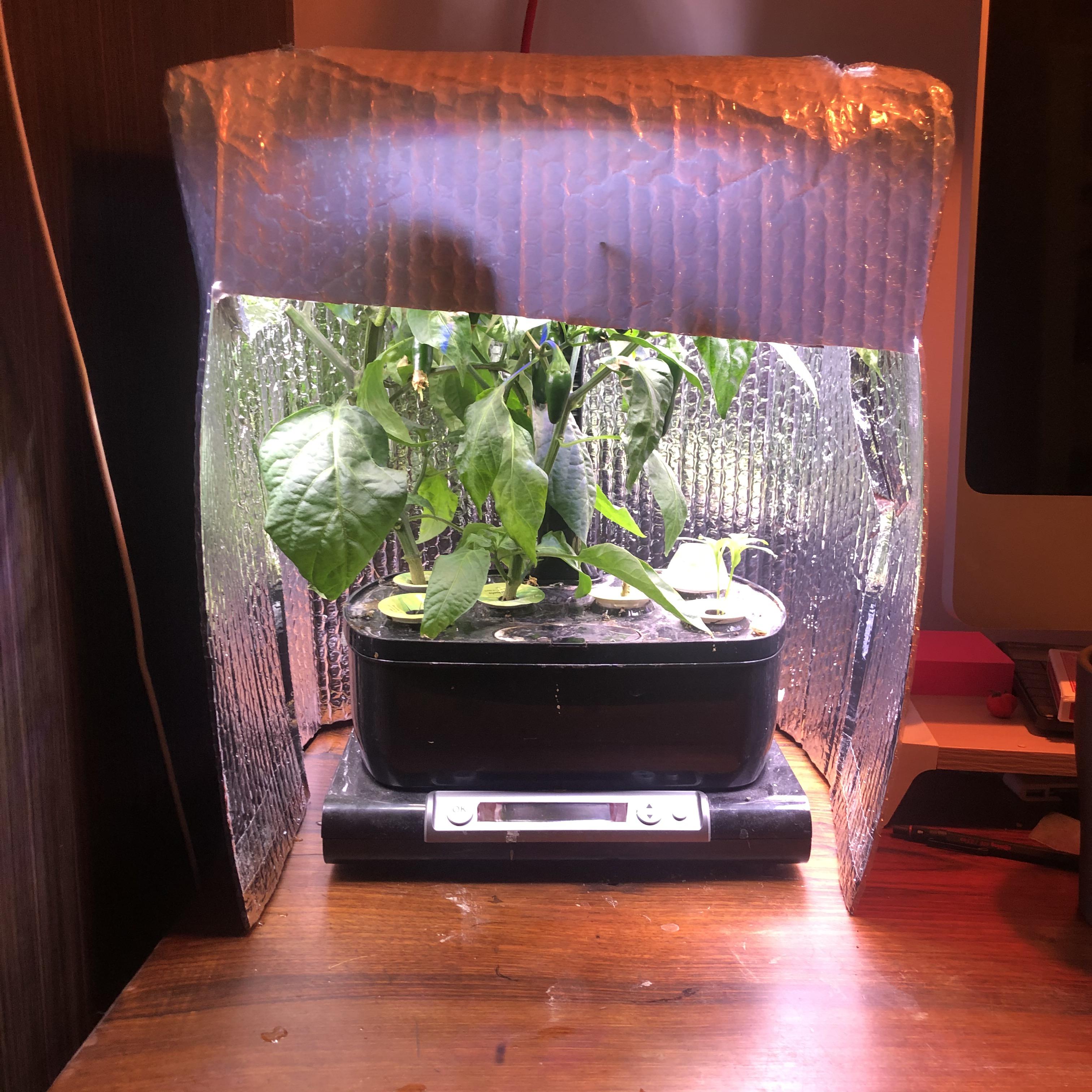 Modified Blue Apron box insulation. r/aerogarden