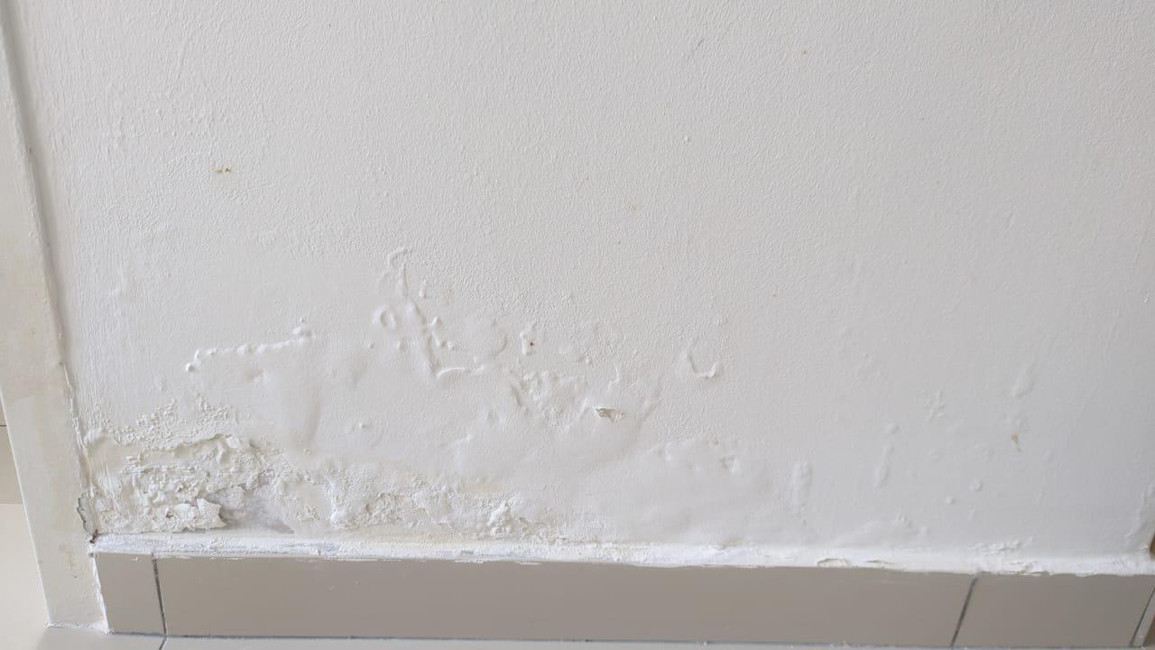 Wall paint keeps peeling off r/DIY