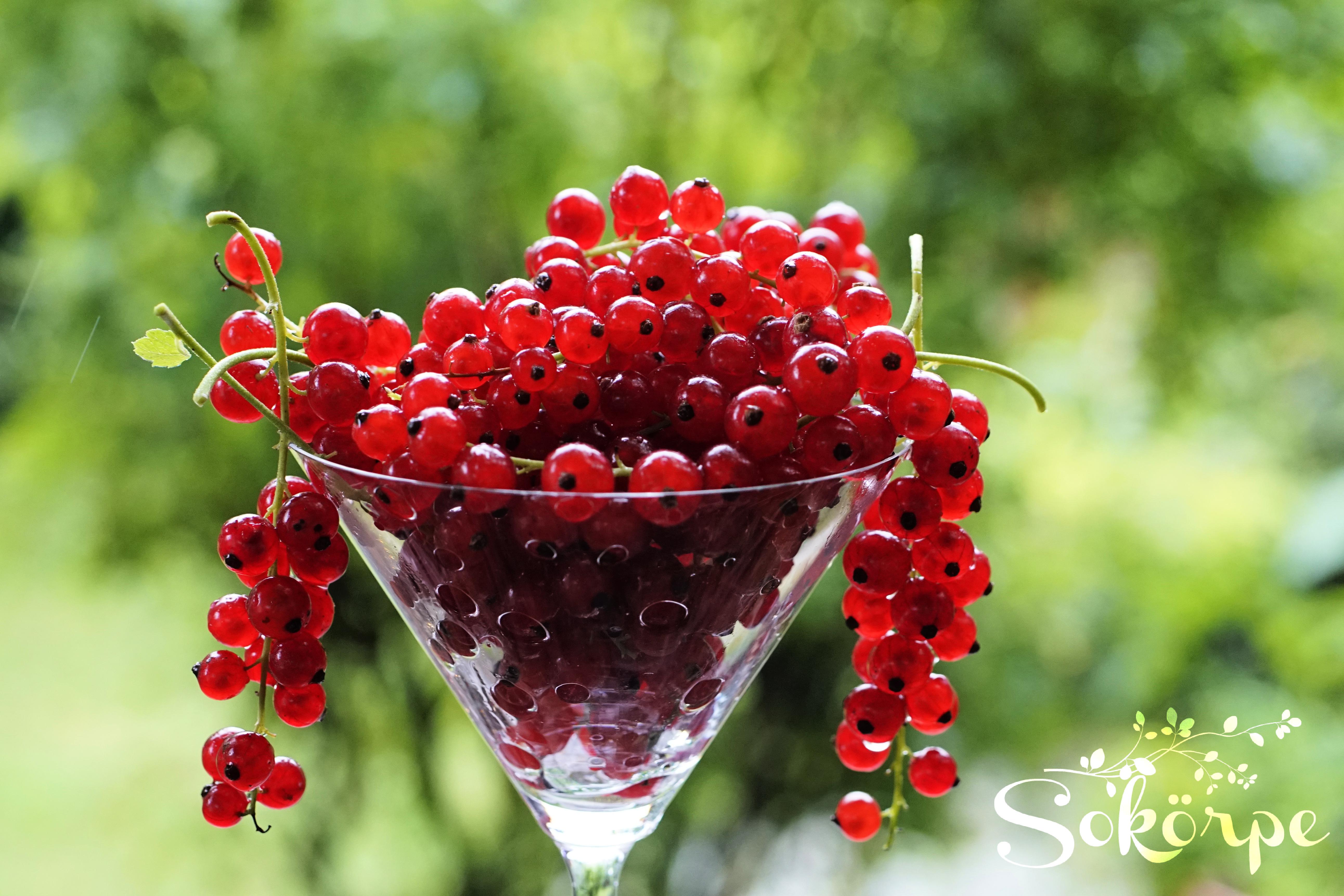 Raspberries, Ellagic Acid Reveal Benefits In Two Studies Sokörpe