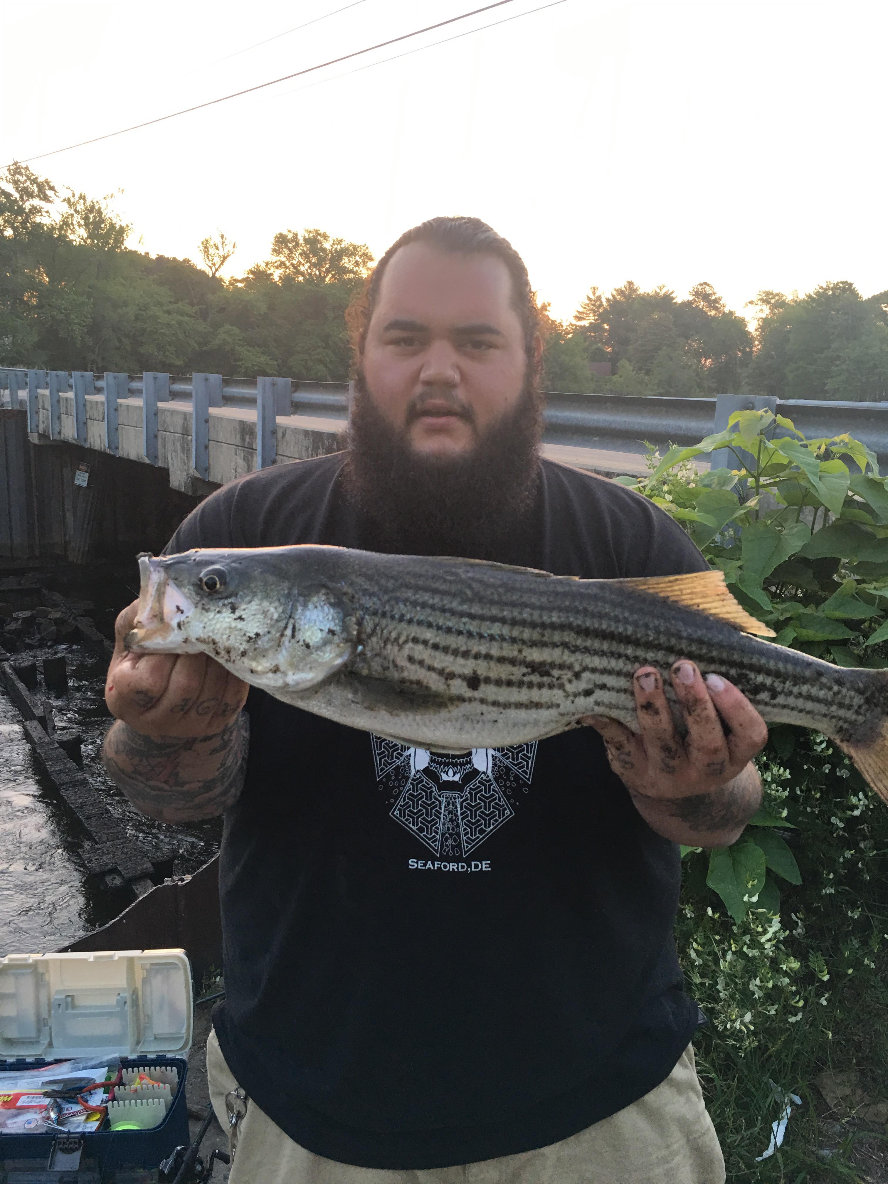 5lb Rockfish caught way inland (tidal waters) r/Fishing