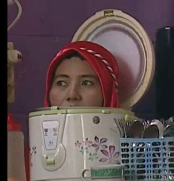 Just a normal person inside a rice cooker r/funny