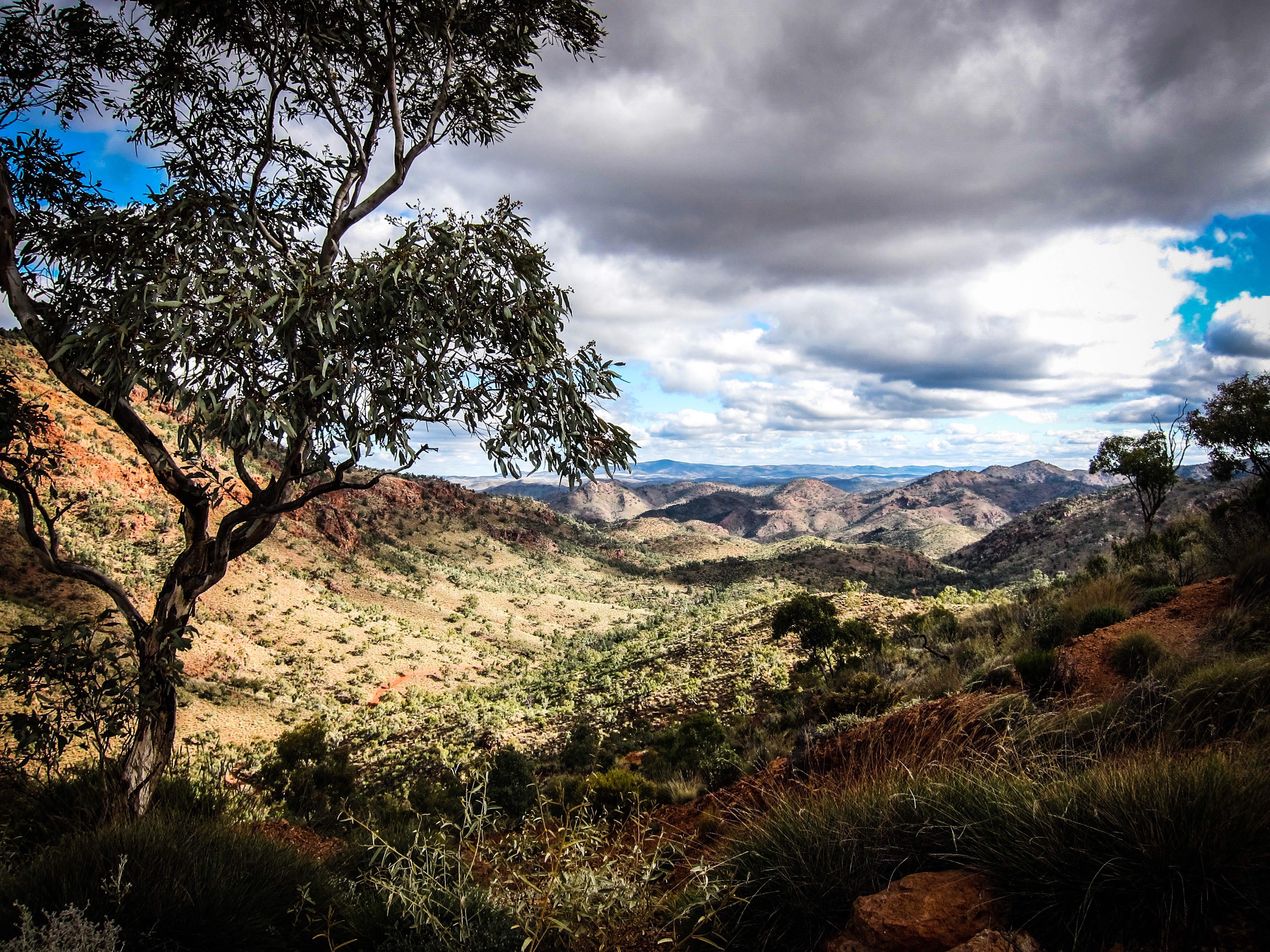 Arkaroola, Flinders Ranges, South Australia [OC] r/australia