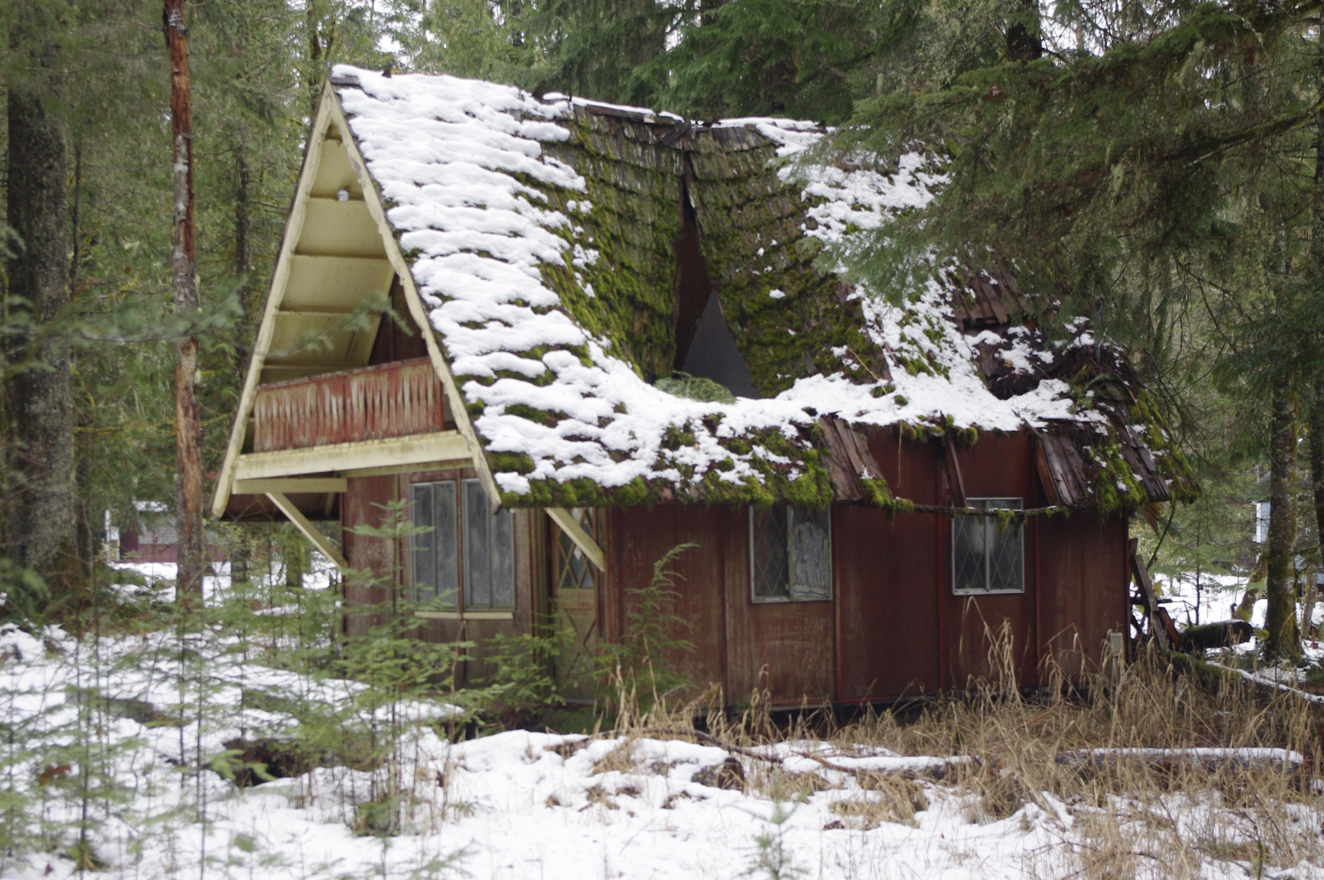 Abandoned cabin in Ashford, WA, just outside Mt Rainier Nat'l Park (OC