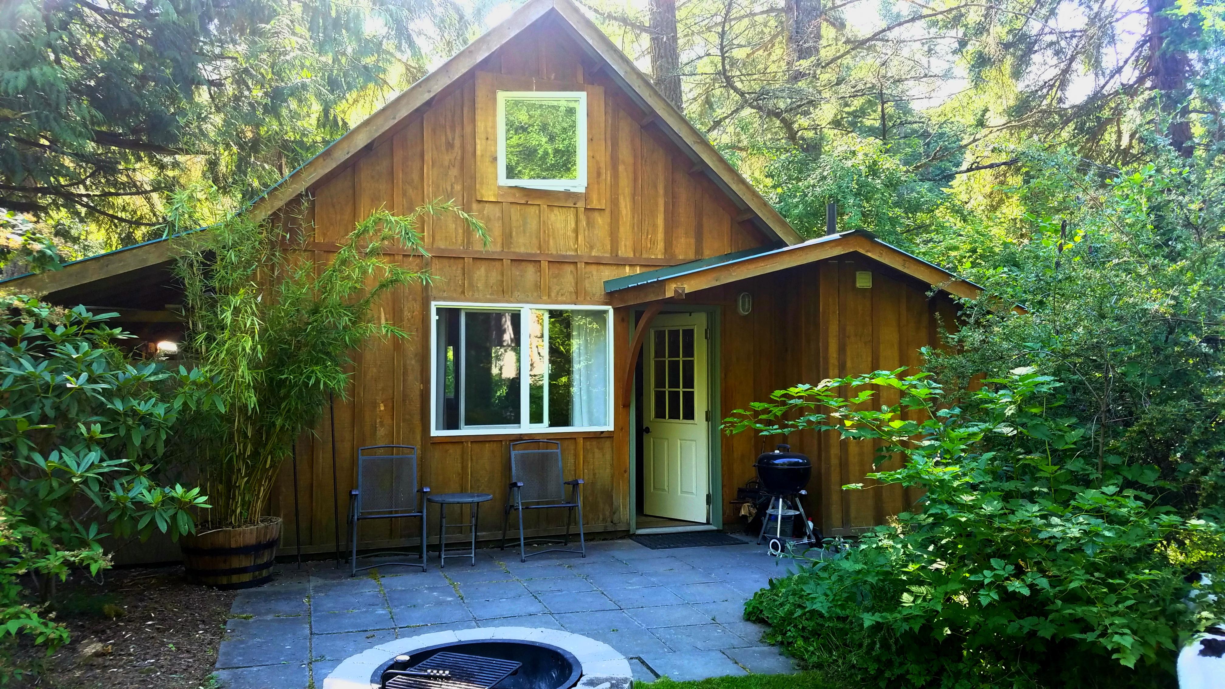 Tiny cabin I rented in Washington woods. r/CozyPlaces